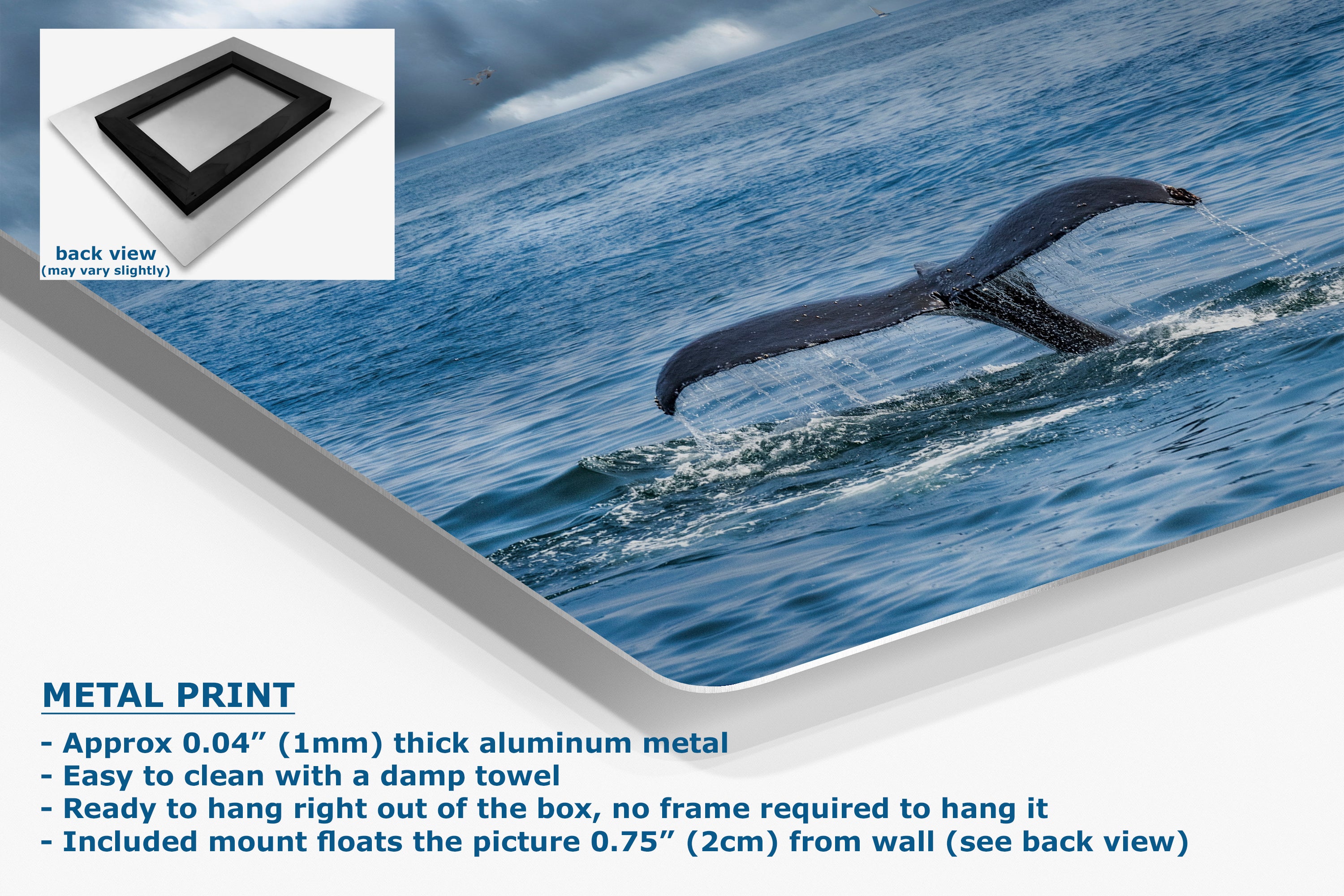 Wildlife Photography Ocean Picture Limited Edition Print Humpback Whale Fluke