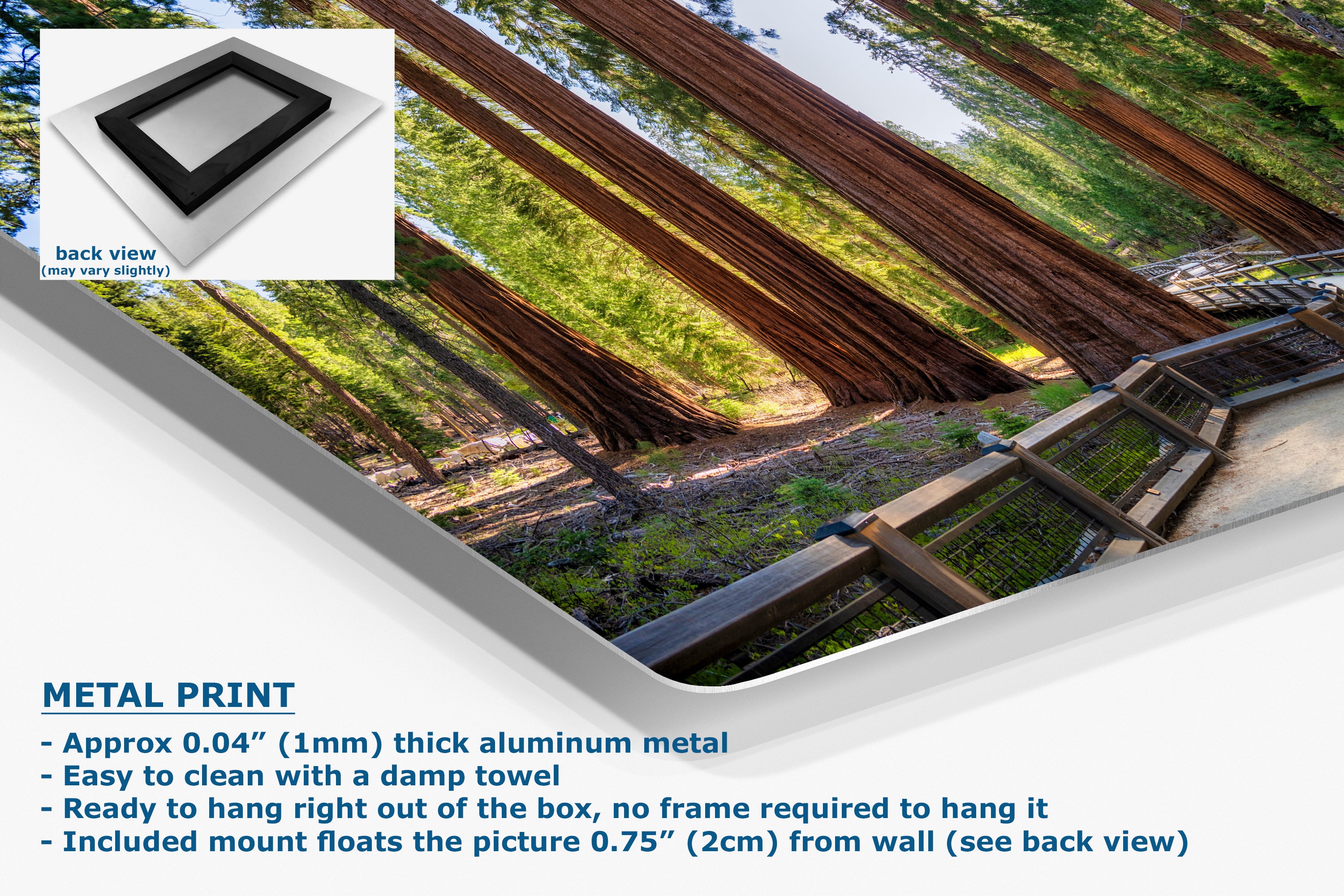 Giant Sequoia Tree Forest Picture Nature Photo | Yosemite Redwood Trees for Nature Lovers & Forest Bathing Relaxation, Meditation Artwork