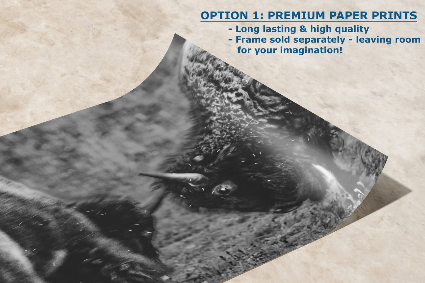 Buffalo Artwork Wildlife Photography, Black and White Bison Wall Decor, Rustic Cabin Animal Print, Nature Wall Art for Home or Office