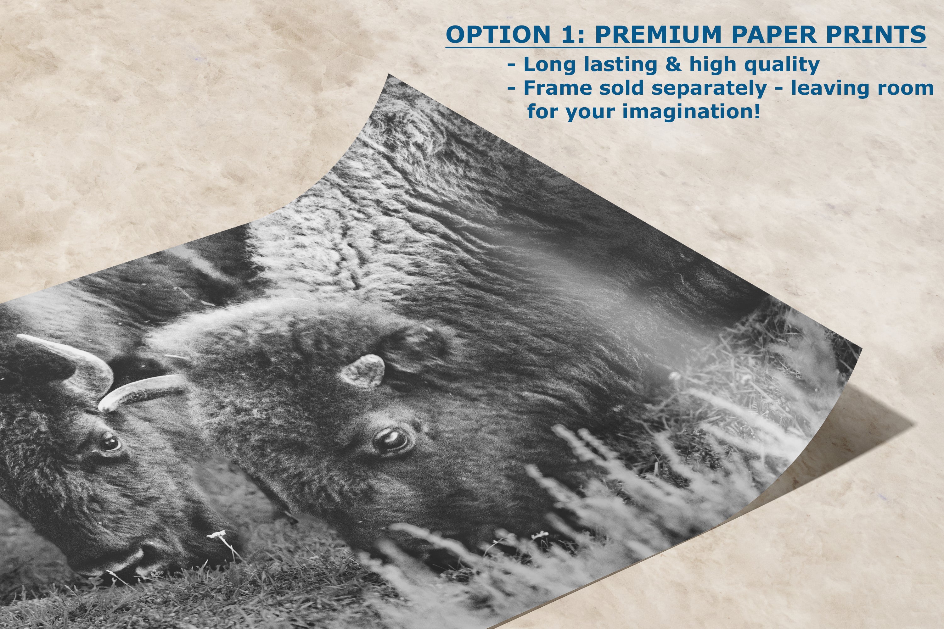 Grazing Buffalo Artwork Wildlife Photography, Black and White Bison Wall Decor, Rustic Cabin Animal Print, Nature Wall Art for Home or Office