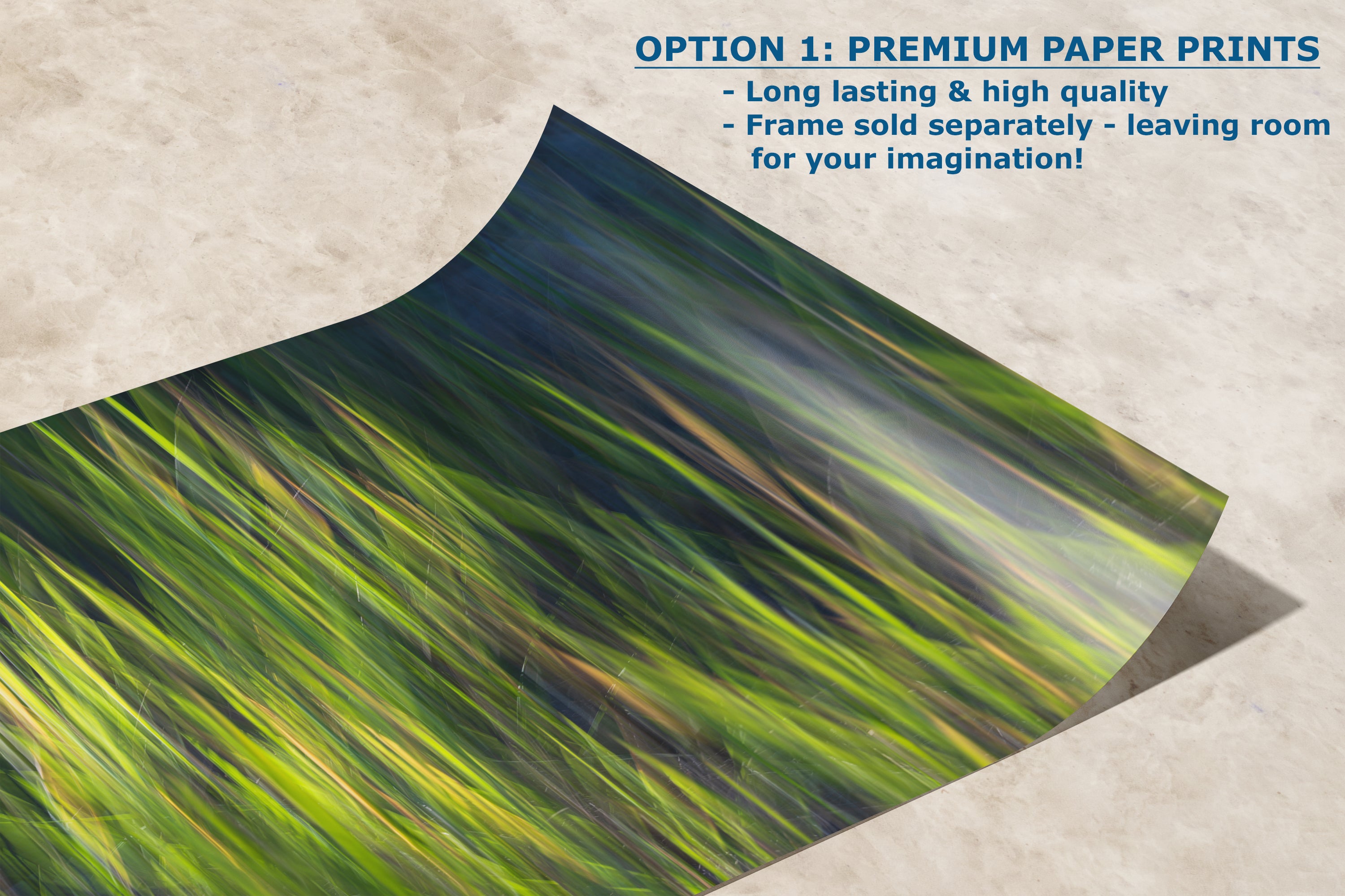 Sage Green Abstract Art Nature Photo