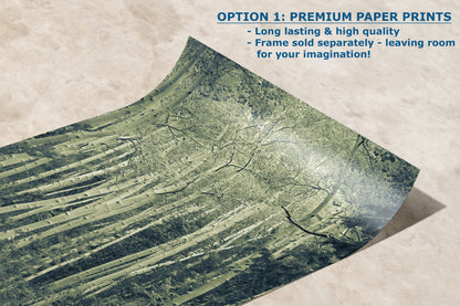 Aspen Tree Forest Picture Nature Photo, Forest Bathing Relaxation Artwork, Rustic Wall Art for Bedroom, Office, & House Decor