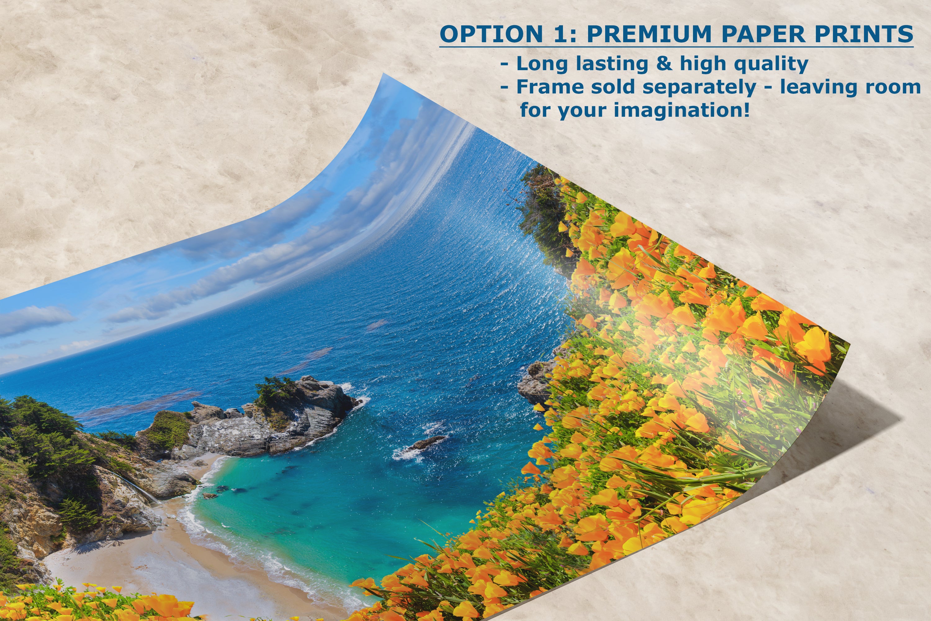 McWay Falls Wall Art Ocean Picture, Big Sur California Coastline Nature Photo