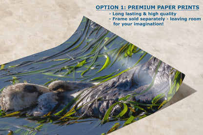 Sea Otter Picture Marine Mammal Wildlife Photography, Relaxing Nature Art Print, Ocean Scene, Dorm Room Decor, Animal Photography