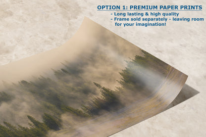 Foggy Forest Picture Forest Bathing Nature Photo, Yellowstone Misty Trees Wall Art, Cabin Decor, Canvas, Paper, Metal Prints