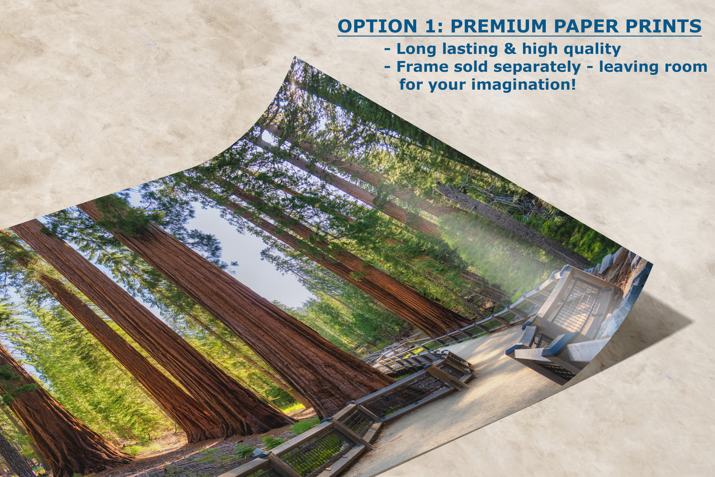 Giant Sequoia Tree Forest Picture Nature Photo | Yosemite Redwood Trees for Nature Lovers & Forest Bathing Relaxation, Meditation Artwork