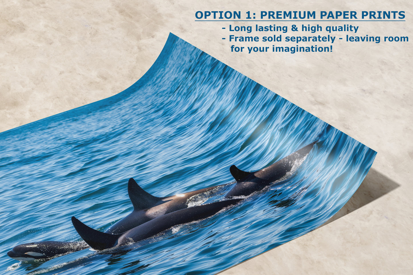 Orca Whale Marine Mammal Wildlife Photography, Killer Whale Ocean Art Print for Nature Lovers and Ocean Enthusiasts