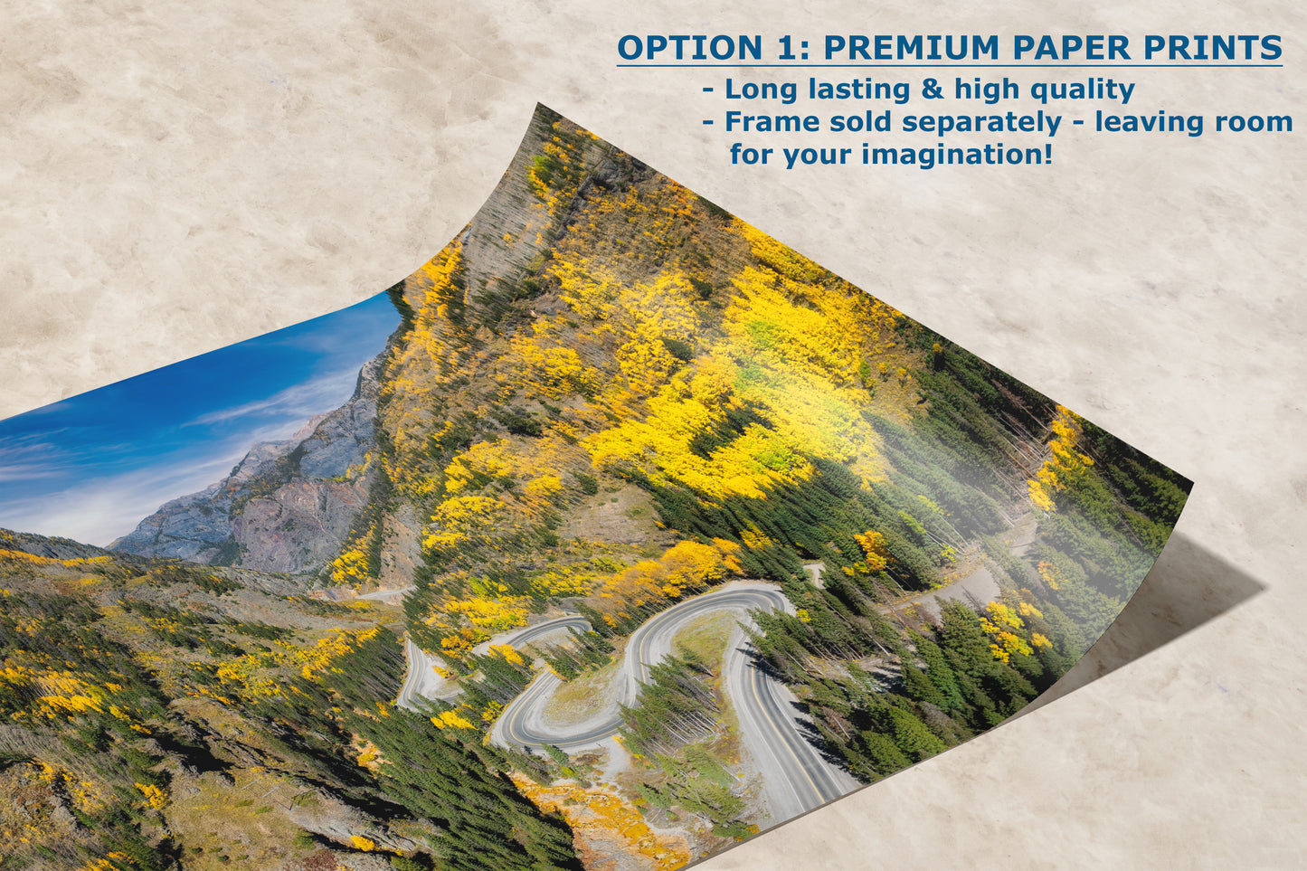 Colorado San Juan Mountain Picture, Million Dollar Highway Fall Colors Aspen Trees Forest Picture, Nature Photo for Relaxation Artwork, Meditation and House Decor