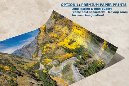 Colorado San Juan Mountain Picture, Million Dollar Highway Fall Colors Aspen Trees Forest Picture, Nature Photo for Relaxation Artwork, Meditation and House Decor