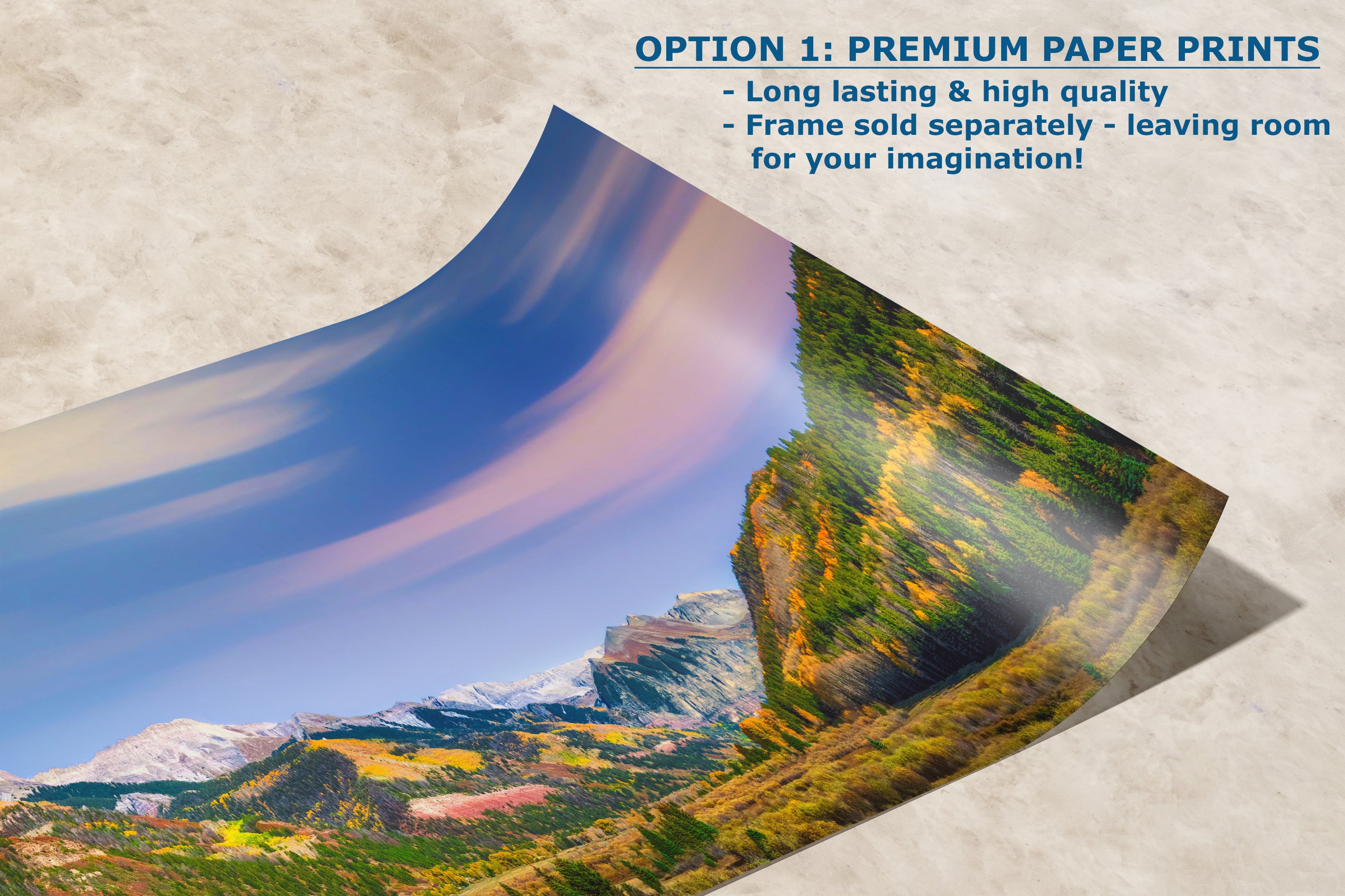 Telluride Colorado San Juan Mountain Picture, Fall Colors Aspen Trees Forest Picture Nature Photo for Relaxation Artwork, Meditation and House Decor