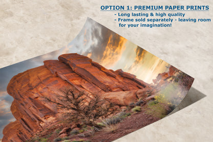 Monument Valley Arizona Desert Picture Cactus Nature Photo, Bohemian Style Relaxation Artwork for Meditation, Apartment, Office & House Decor