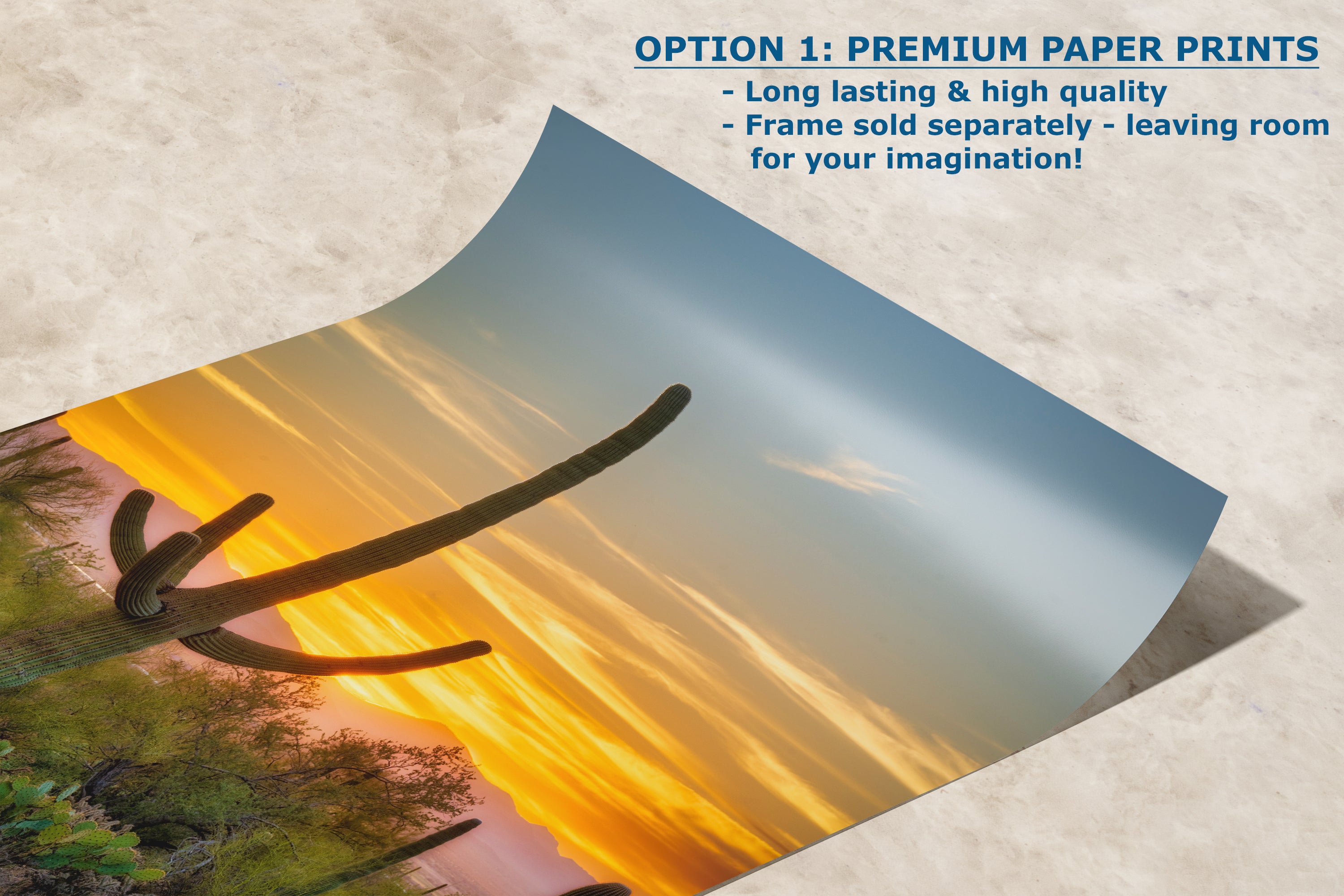 Saguaro National Park Arizona Desert Picture Nature Photo, Bohemian Style Relaxation Artwork, Southwestern Sonoran Desert House Decor