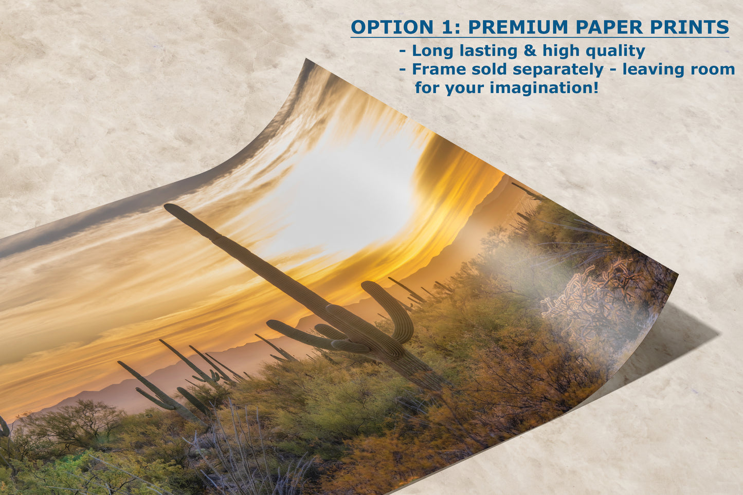 Saguaro National Park Arizona Desert Picture Sunset Nature Photo, Bohemian Style Relaxation Artwork, Southwestern Sonoran Desert House Decor