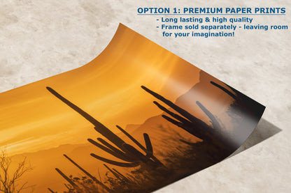 Saguaro National Park Arizona Desert Picture Nature Photo Silhouette, Bohemian Style Relaxation Artwork, Southwestern Sonoran Desert House Decor