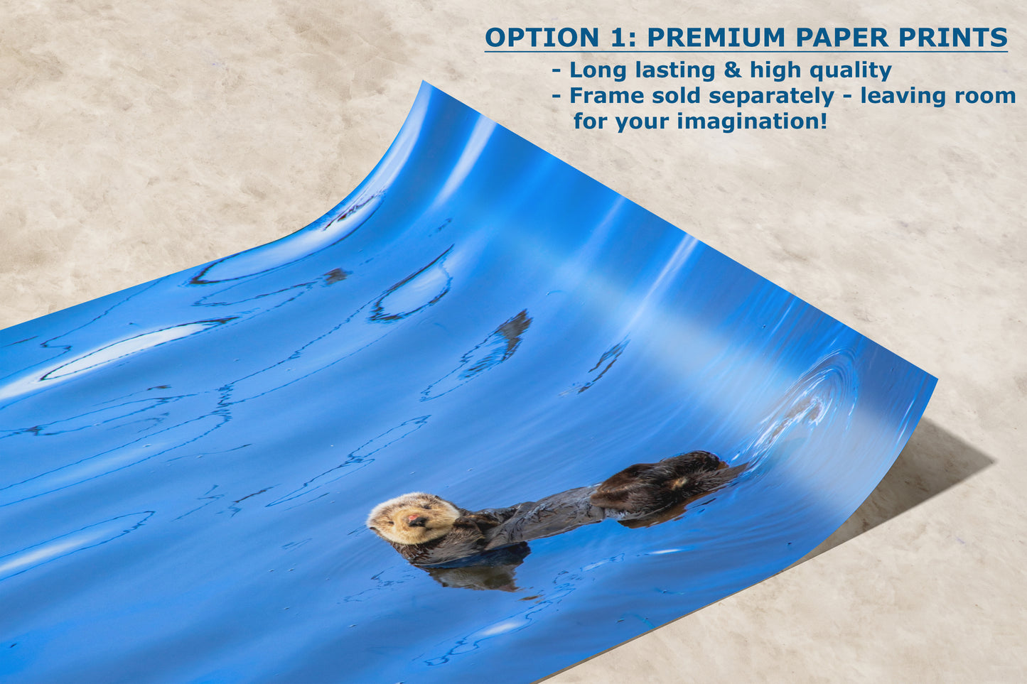 Sea Otter Picture Marine Mammal Wildlife Photography, Ocean Wall Art, Dorm Room Decor, Relaxation Artwork, Cubicle Desk Decor