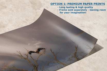 Bald Eagle Picture Wildlife Photography Wall Art, Nature Photo, Bird Photography, Rustic Cabin Decor, Office or Dorm Room Wall Decor