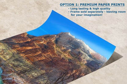 Zion National Park Southern Utah Desert Picture, Southwestern Wall Art, Relaxation Artwork Nature Photo for House Decor