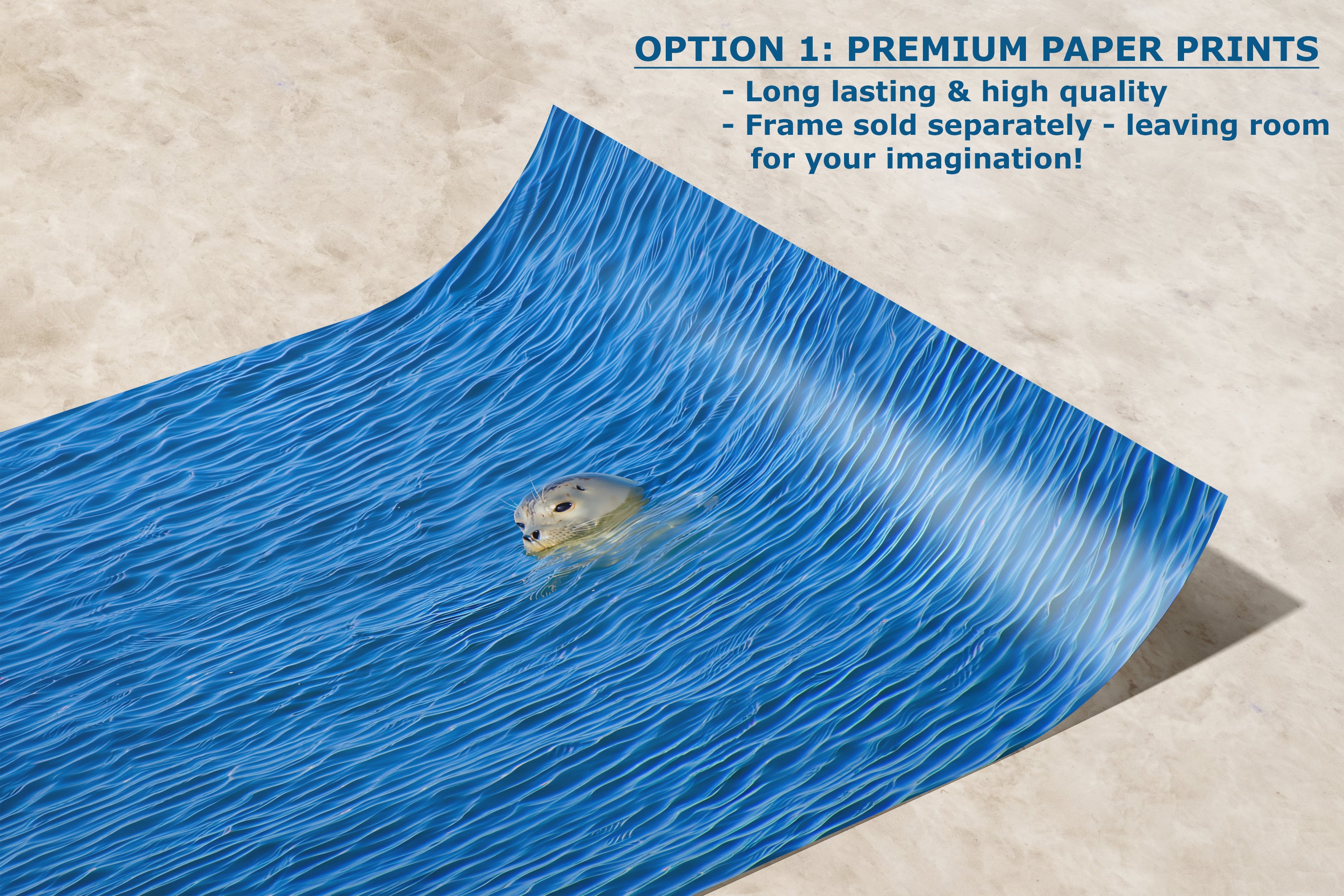 Seal Print Marine Mammal Wildlife Photography, Ocean Picture Relaxation Artwork Nature Photo