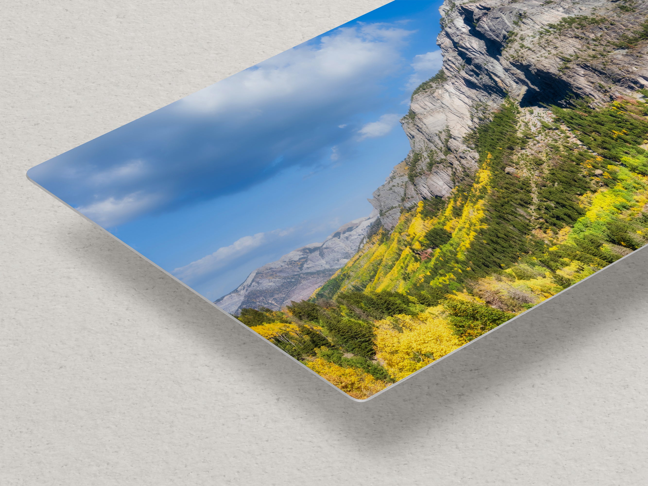 Colorado San Juan Mountain Picture, Fall Colors Aspen Trees Forest Picture Nature Photo for Relaxation Artwork, Meditation and House Decor