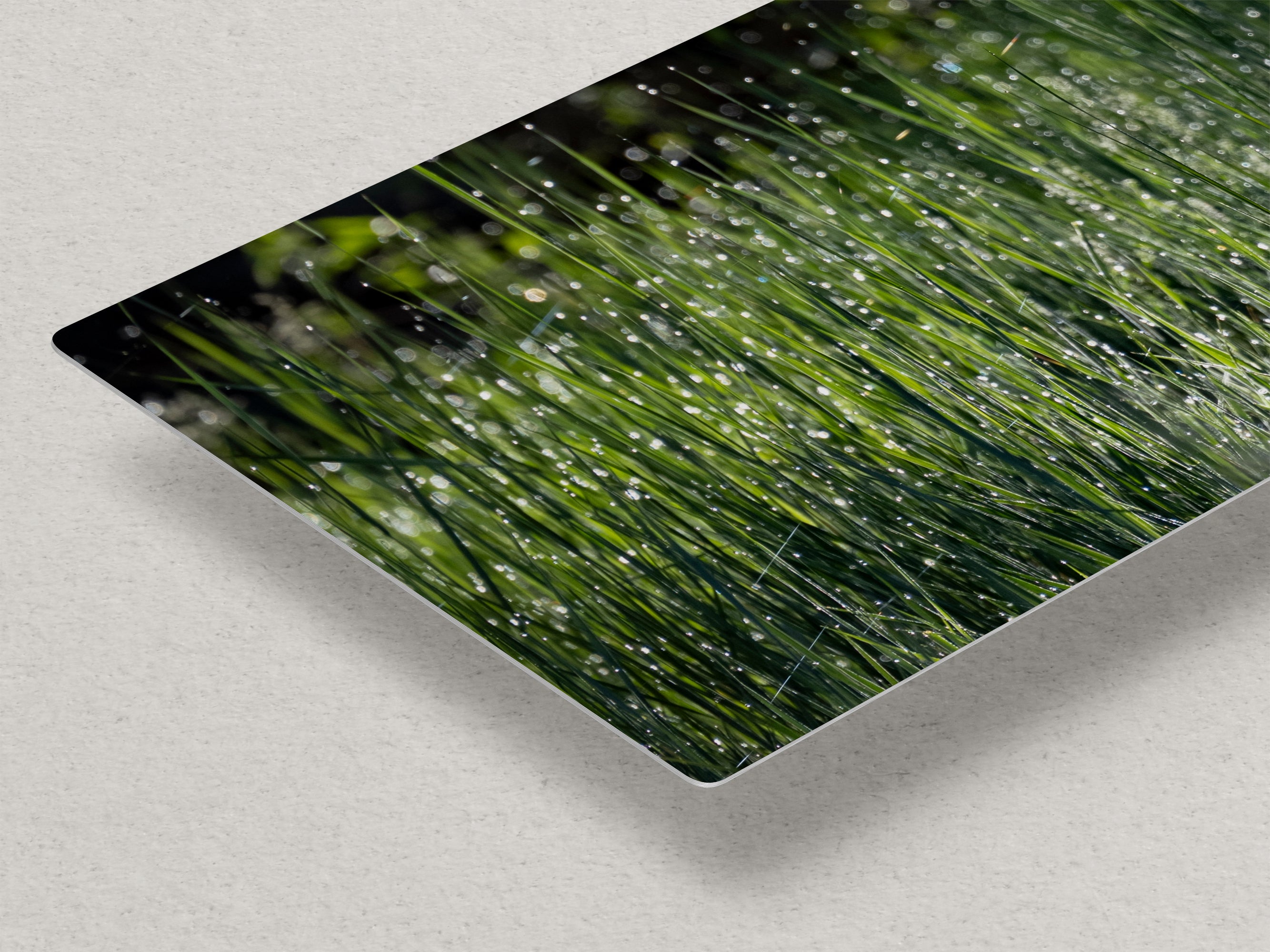 Green Grass Impressionist Art, Nature Photo Relaxation Artwork, Forest Picture Wall Decor for Bohemian Style, Office, Meditation & Dorm Room