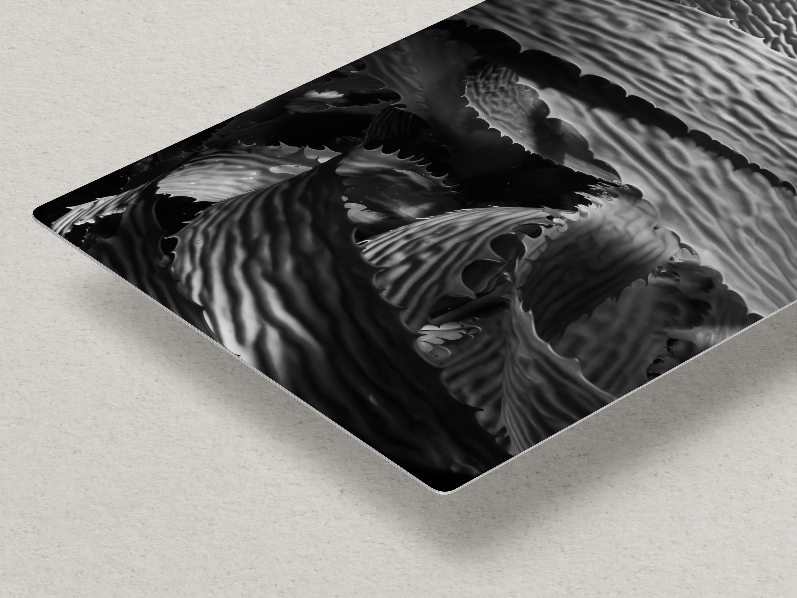 Limited Edition Fine Art Photography, California Giant Kelp Underwater Art, Patience