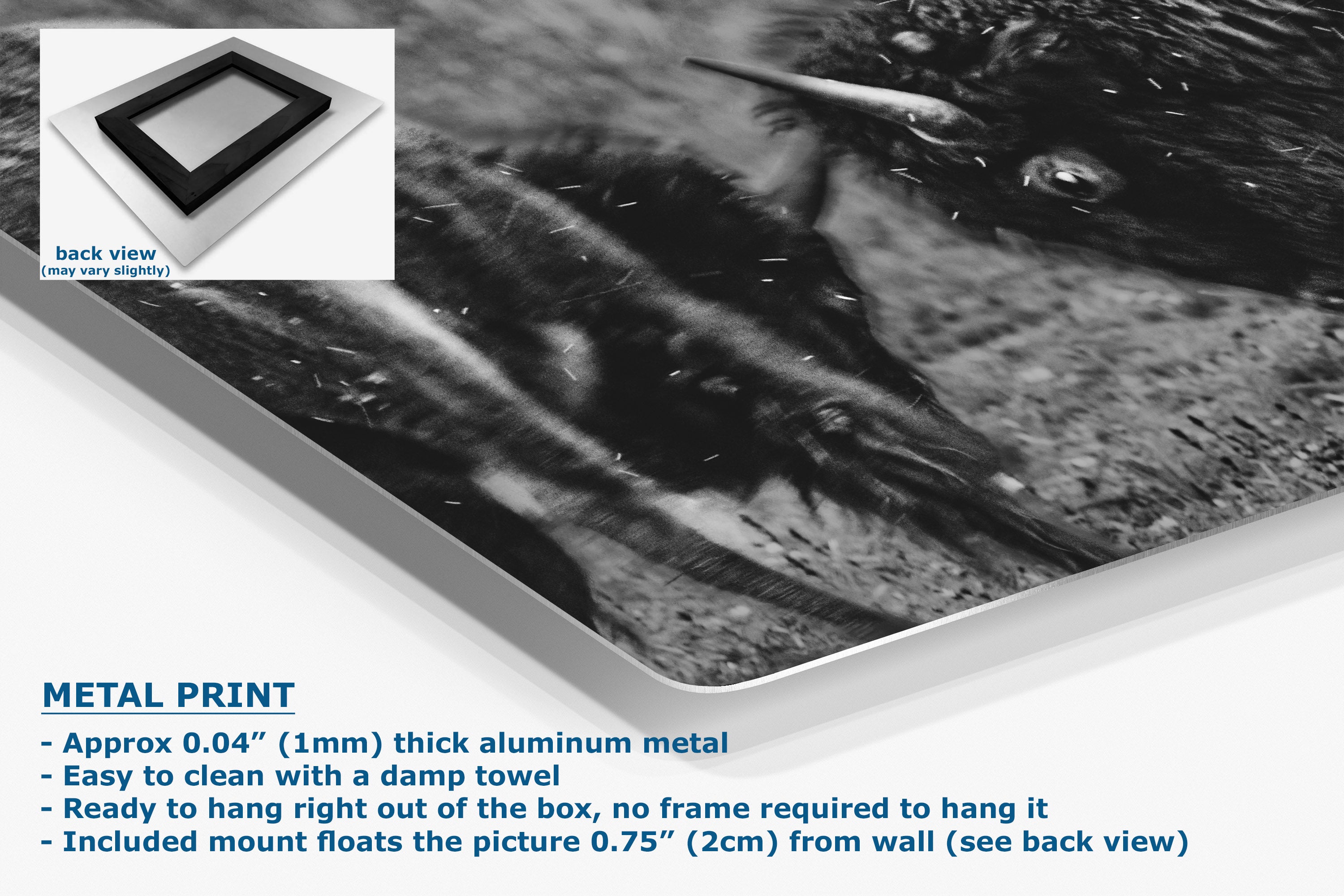 A metal print panel shown at an angle with a black-and-white bison artwork on it, plus a small inset showing the back view of the frame mount. Text at the bottom reads 'METAL PRINT' and lists product details.