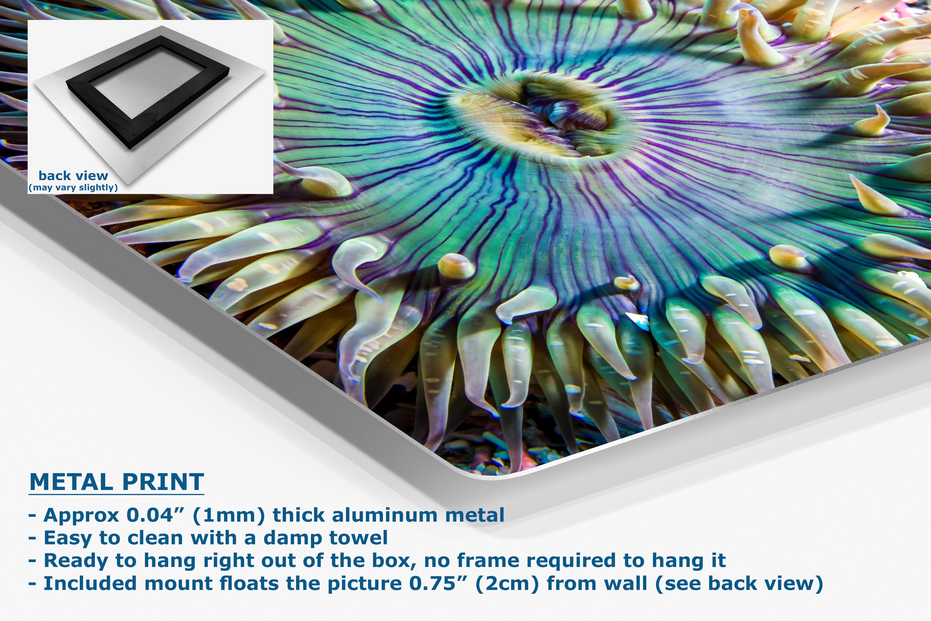 A close-up of a colorful iridescent metal print panel with a sea anemone or coral-like pattern in teal, green, purple, and gold tones. The image includes a small inset showing the back view of the panel, plus text describing the product as a metal print with aluminum construction and mounting details.