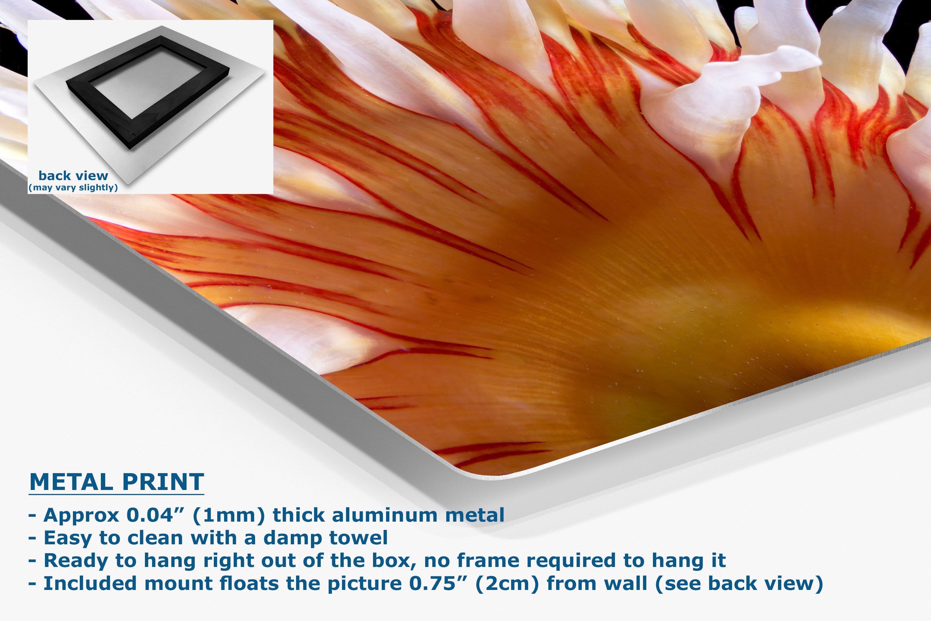 A close-up of a metal print panel, with text describing it as a 'METAL PRINT' and a small back-view inset showing a black frame. The product appears to be an aluminum wall art panel.