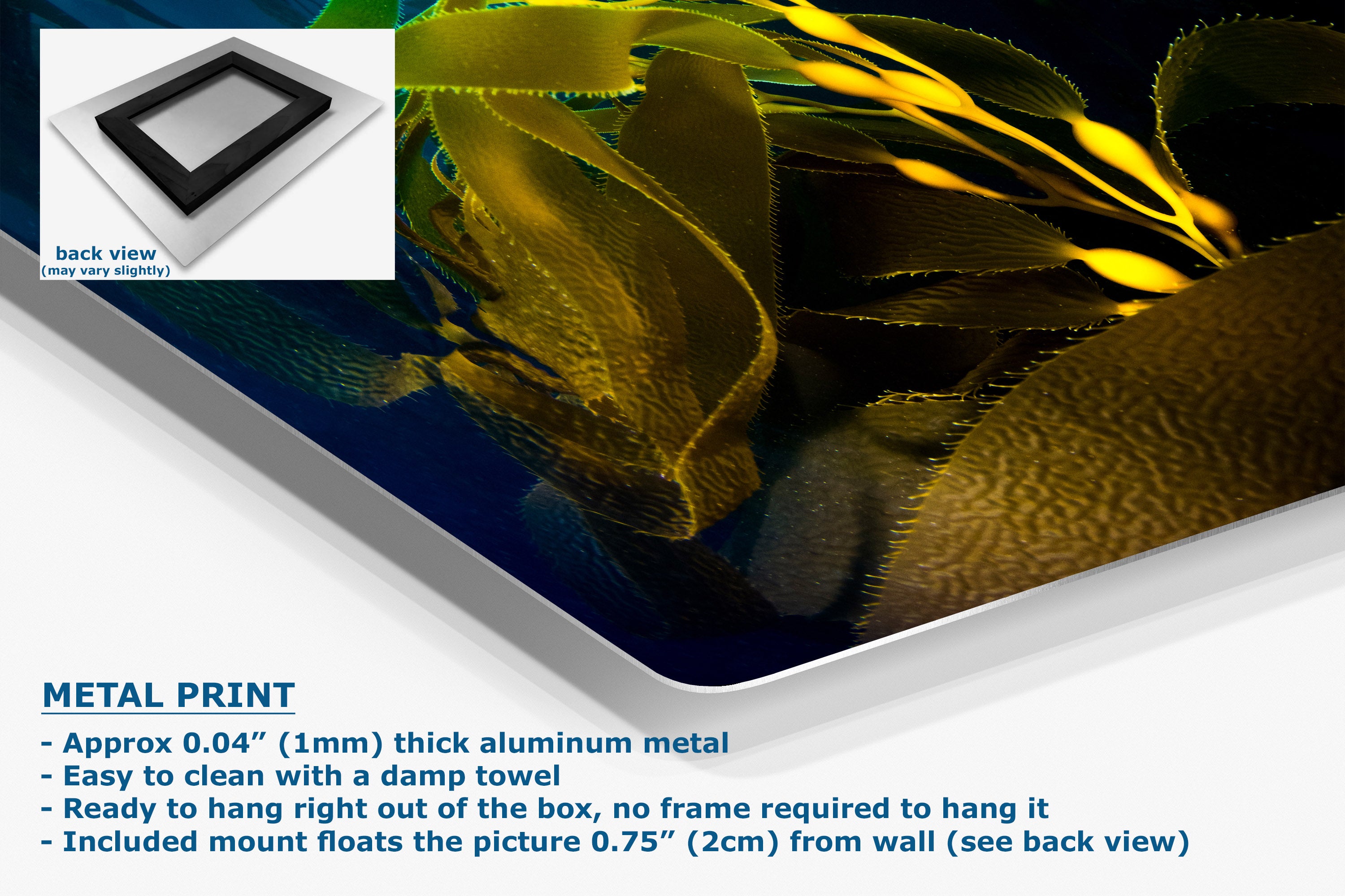 A square metal print panel with a glossy abstract image of green and yellow leaves on a dark blue background, shown at an angle with a small inset back-view image and product text describing its aluminum finish and mounting features.