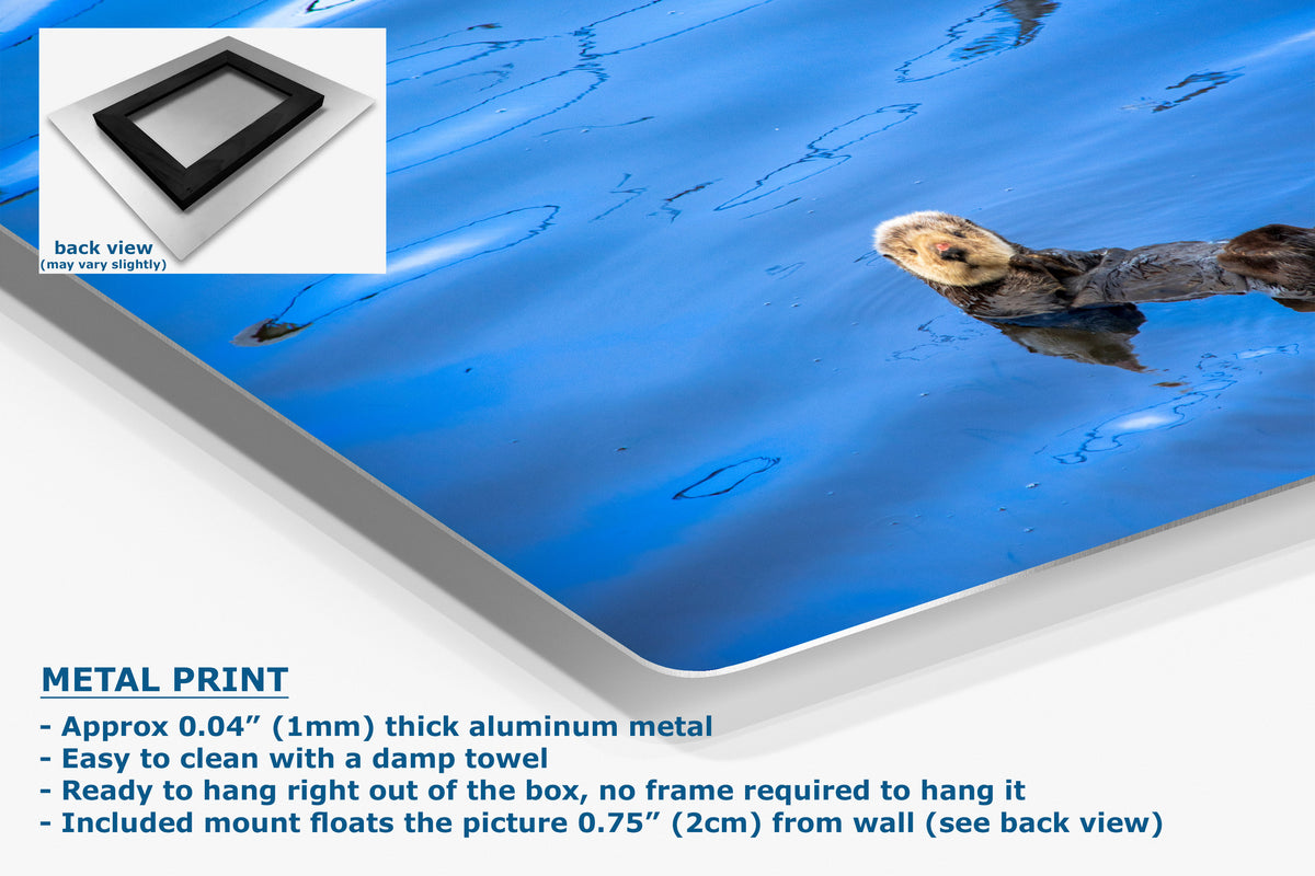 A large aluminum metal print panel displaying a vivid blue water scene with a floating otter and its reflection, shown at an angle with product specifications and a small back-view inset on a white background.