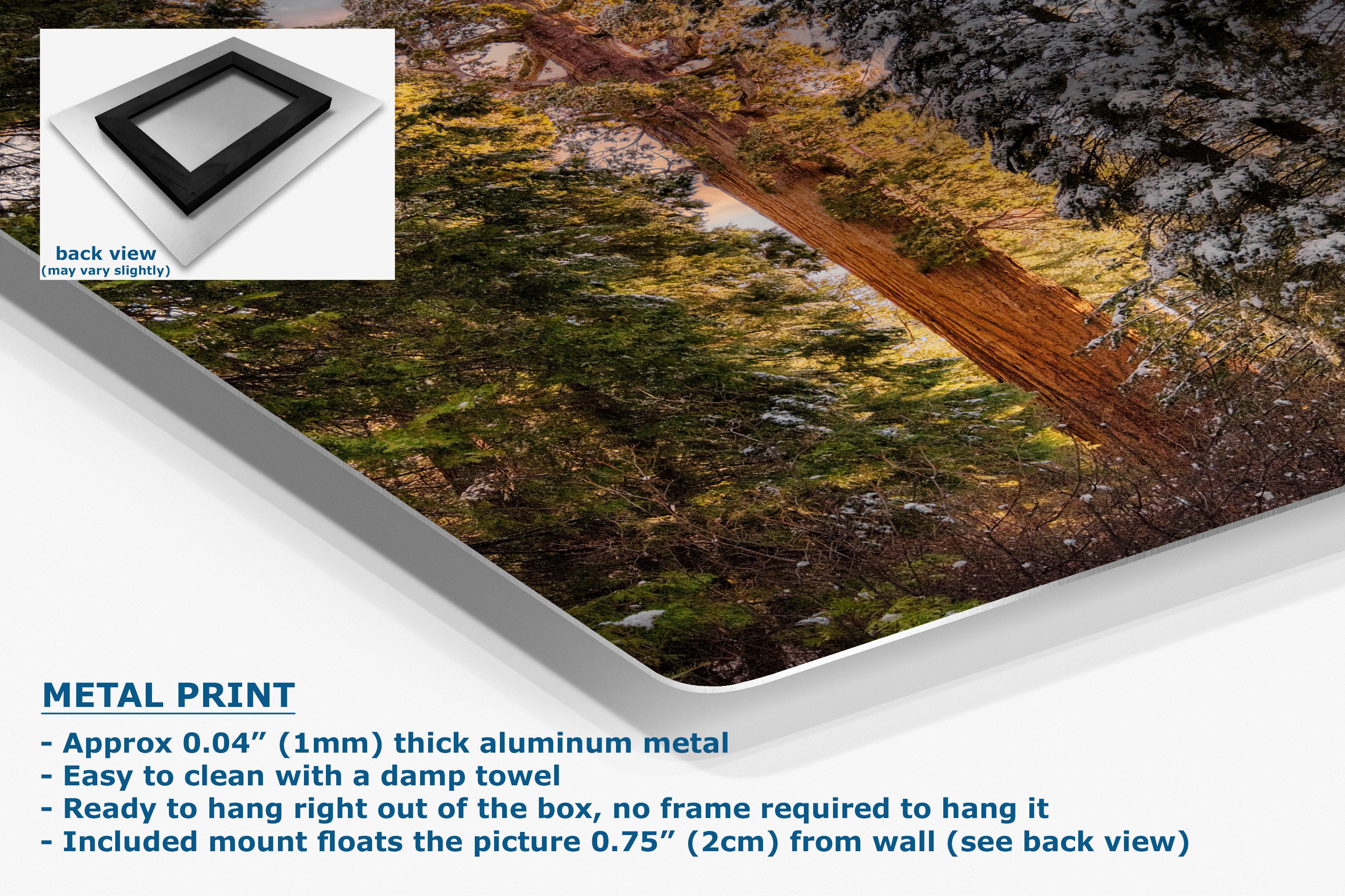 A metal wall art print showing an autumn forest scene with trees and a dirt path, presented at an angle with product details and text on a white background. An inset shows the back view with a black frame.