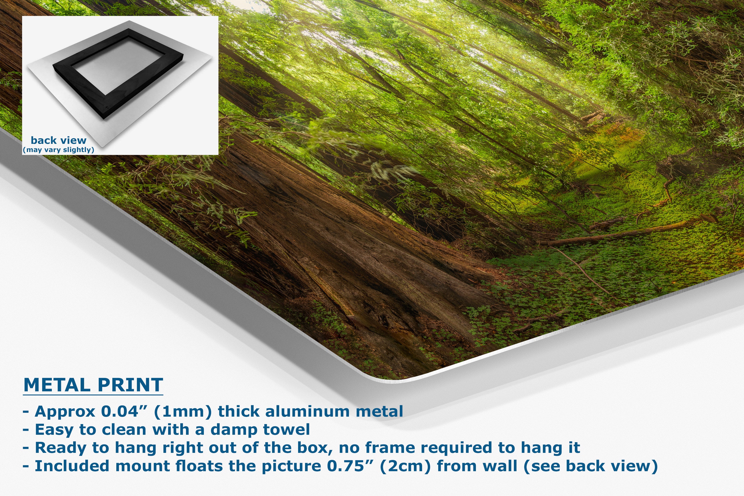 Forest wall art print with a metal aluminum frame shown at an angle, featuring a lush green woodland scene with sunlight filtering through trees. Includes a small inset back view of the frame and text describing the metal print features.