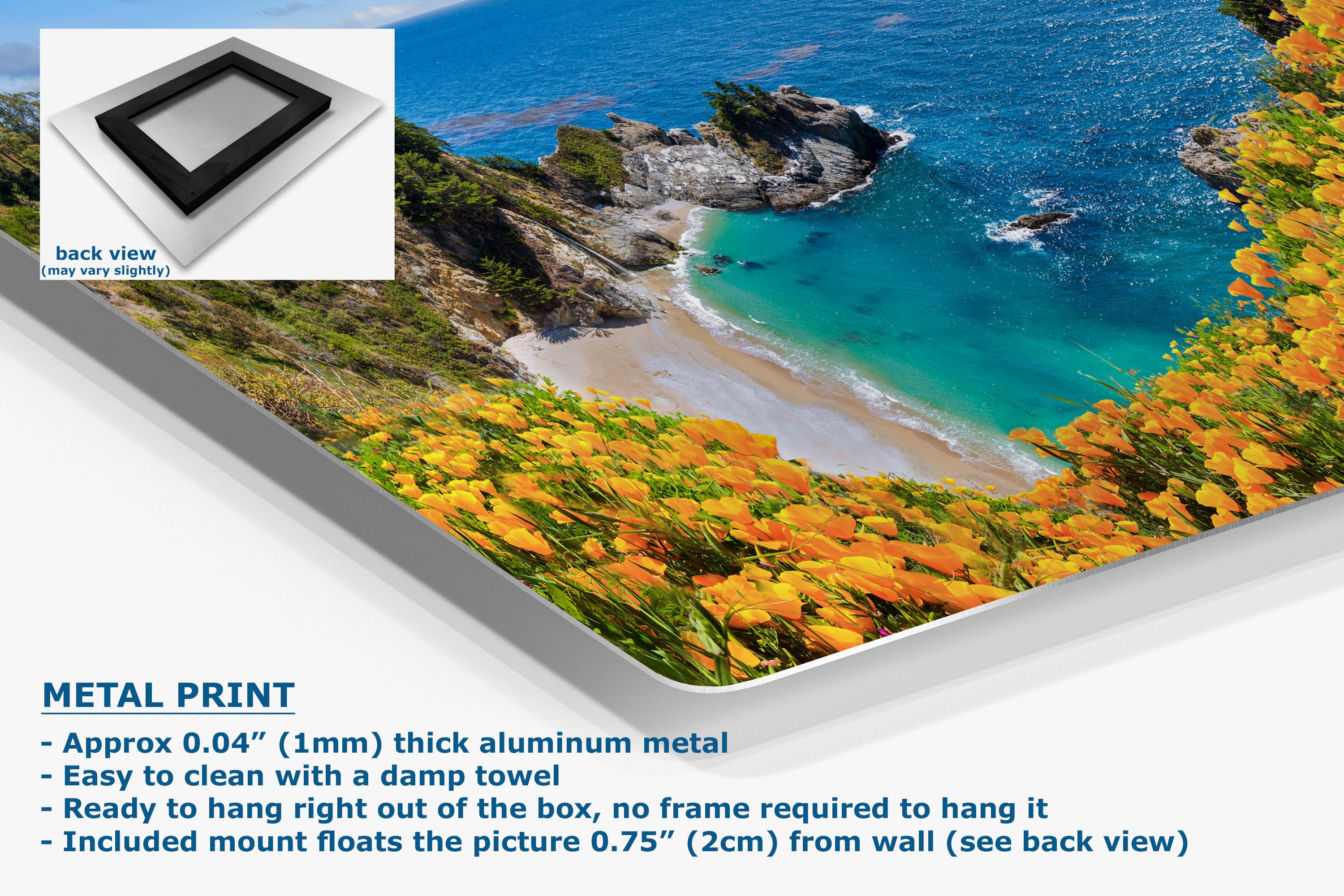 Metal print of a scenic landscape with ocean and beach, featuring text about metal print properties.