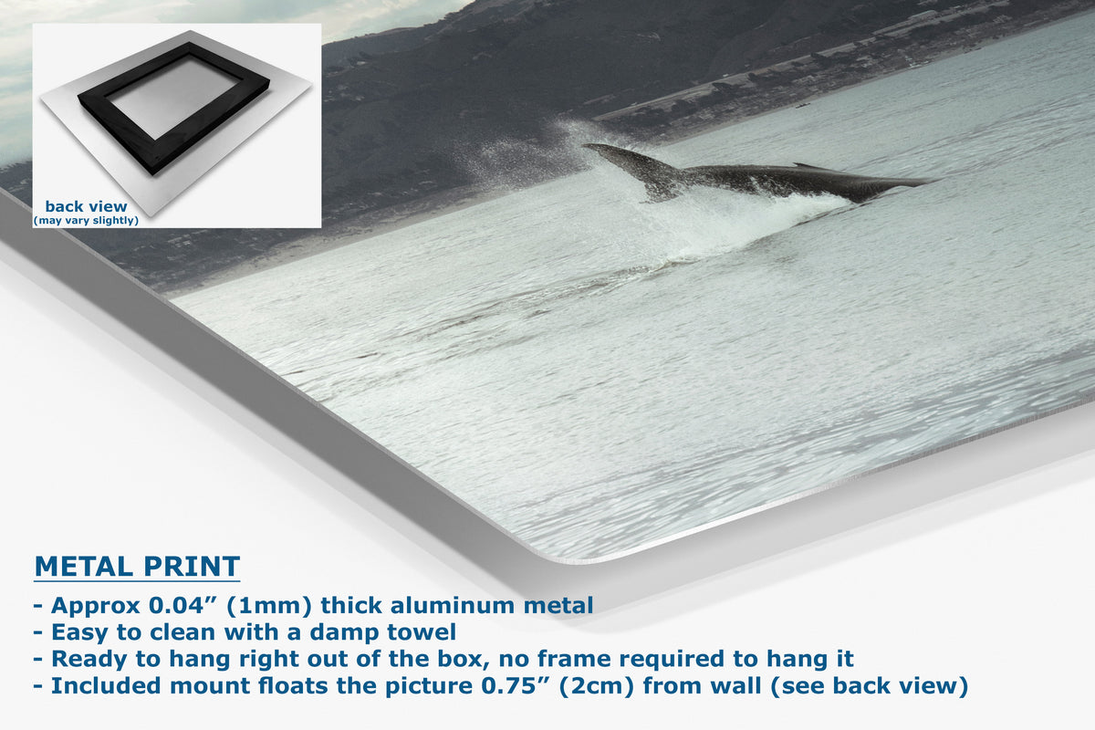 A large rectangular metal wall art print shown at an angle on a white background, with a small inset back-view graphic and text describing the product as a metal print. The artwork depicts a whale jumping out of the water in a coastal scene.