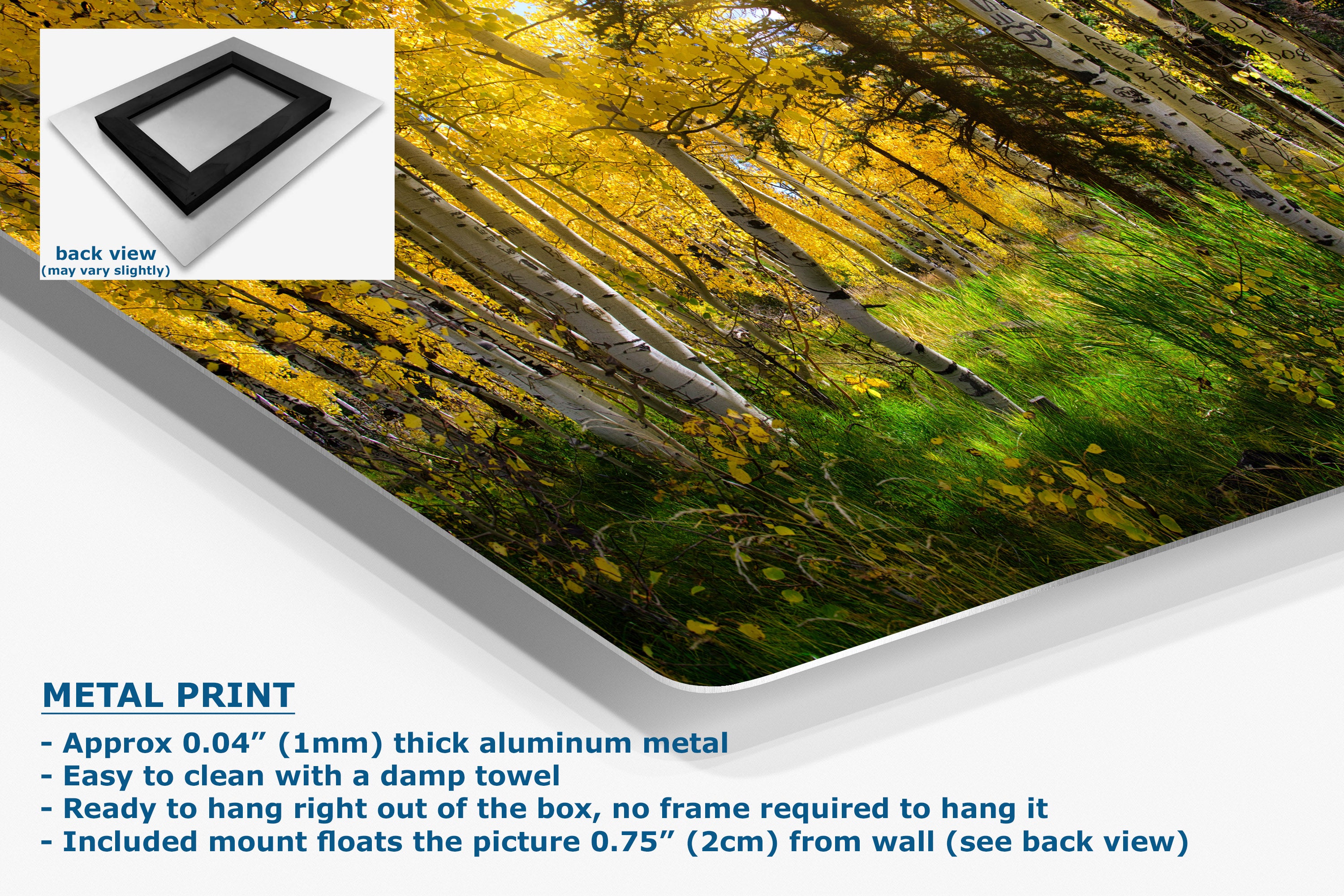 A corner view of a metal wall art print showing a forest scene with yellow autumn foliage and green grass, displayed at an angle with a small inset showing the back view. Text on the image describes the product.