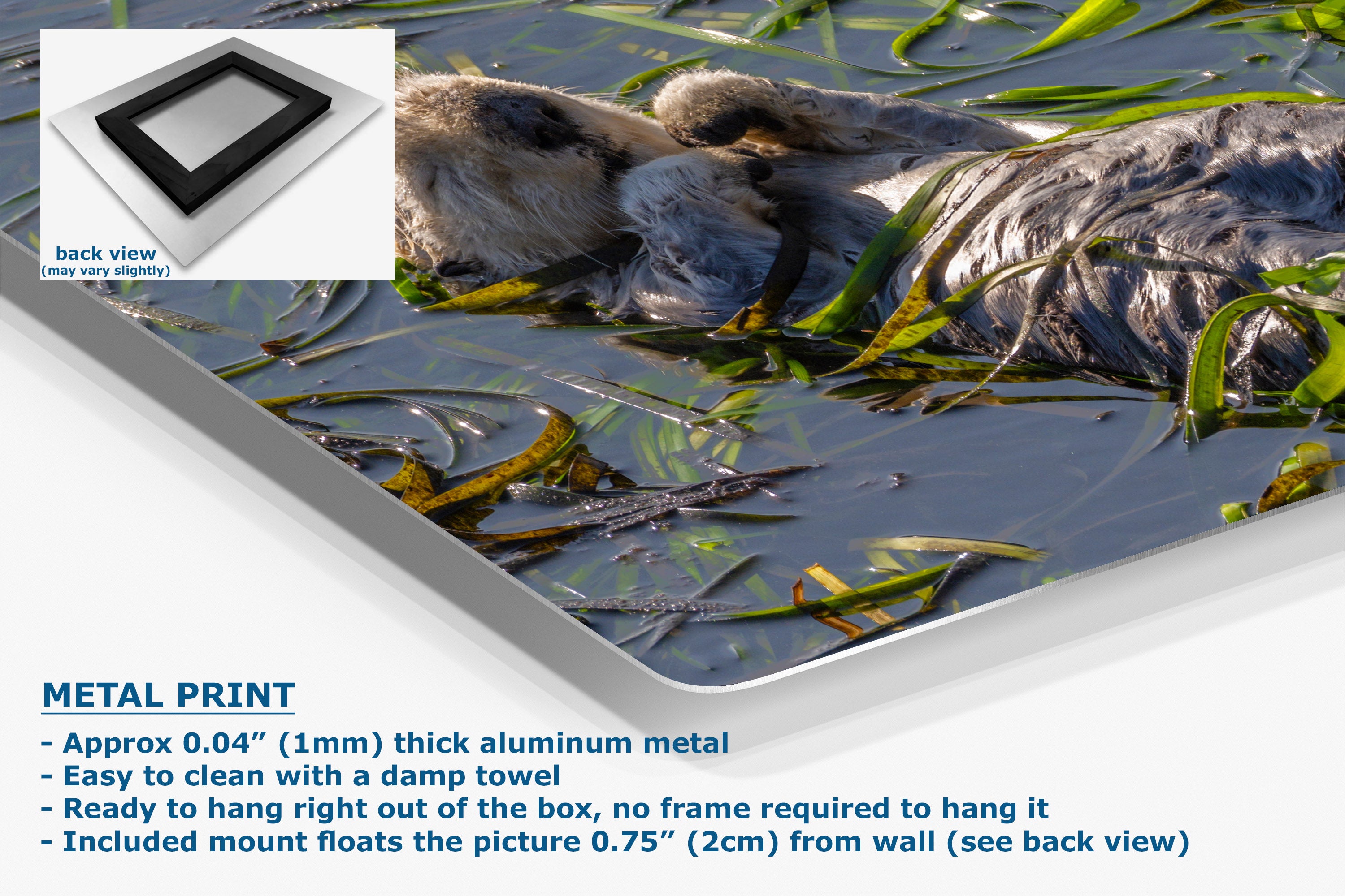 A large rectangular metal print panel, with text callouts and a small inset back-view diagram. 