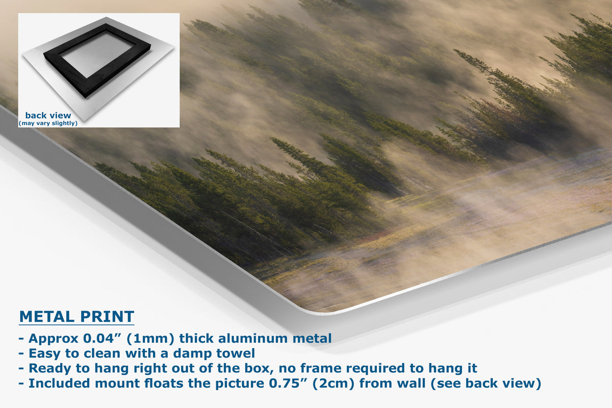 Aluminum metal print panel featuring a misty forest landscape, shown at an angle with a small inset back view and product feature text on a white background.