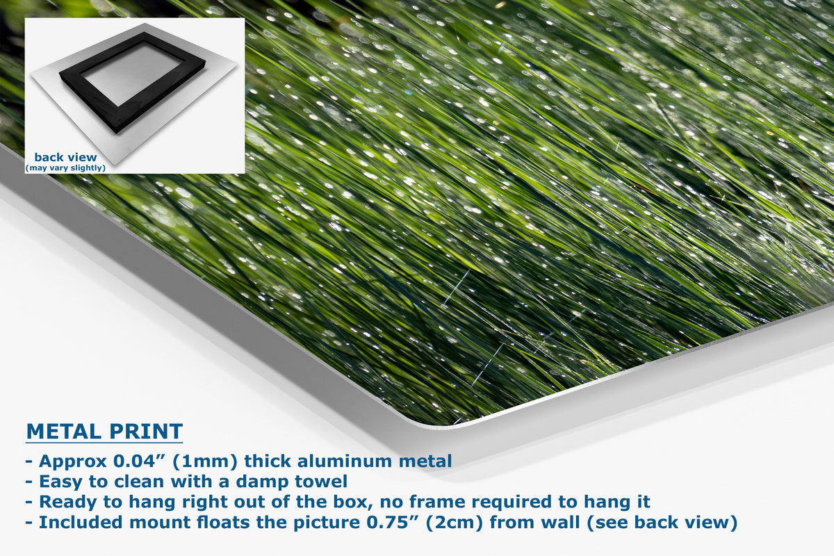 A corner view of an aluminum metal wall art print with a realistic grass-like pattern, shown at an angle with a white border. A small inset shows the back view with a black frame.