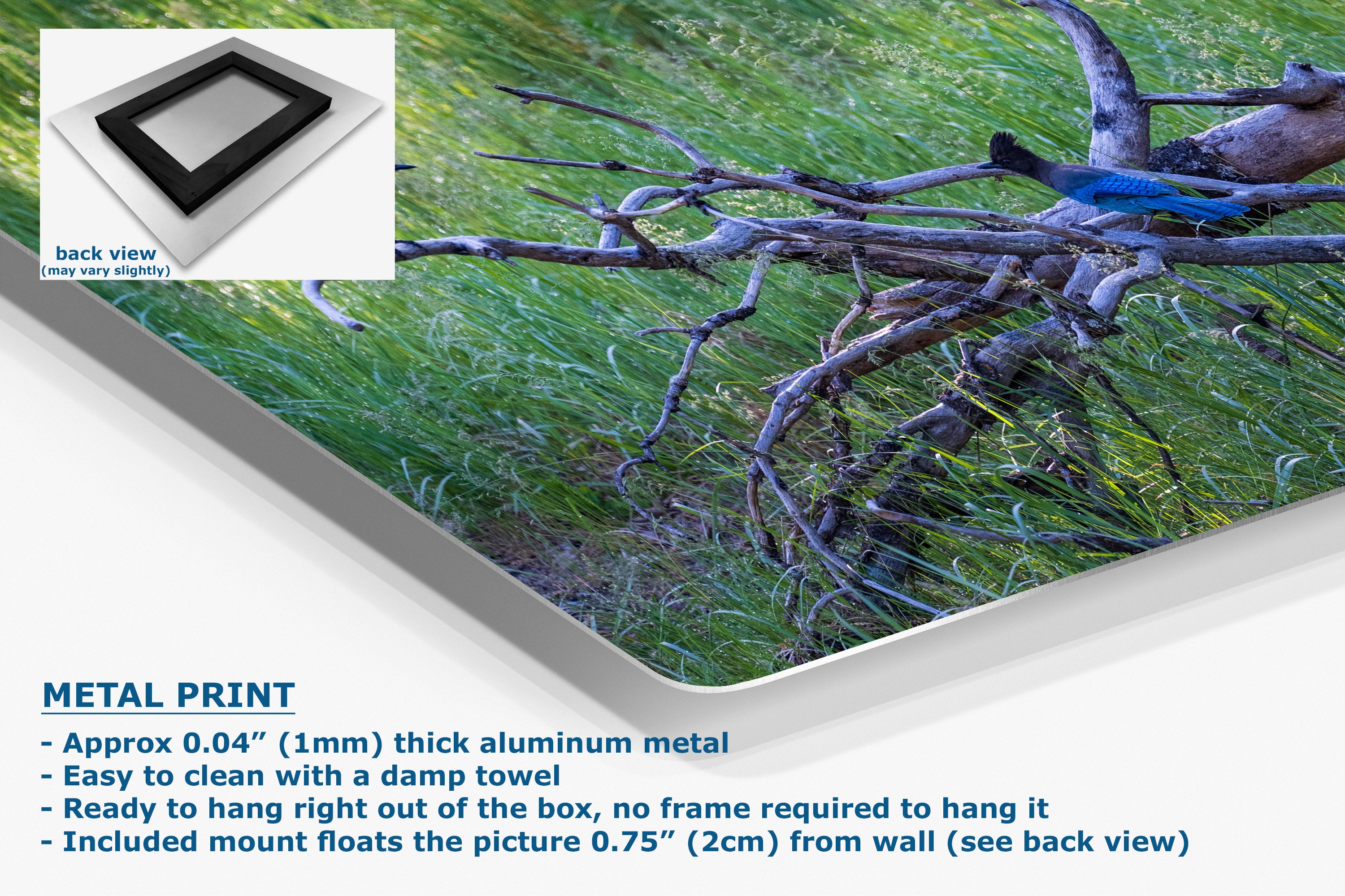 Corner view of a metal wall art print featuring a nature scene of a blue bird perched on tree branches over green grass, shown with a product inset showing the back view and descriptive text on a white background.