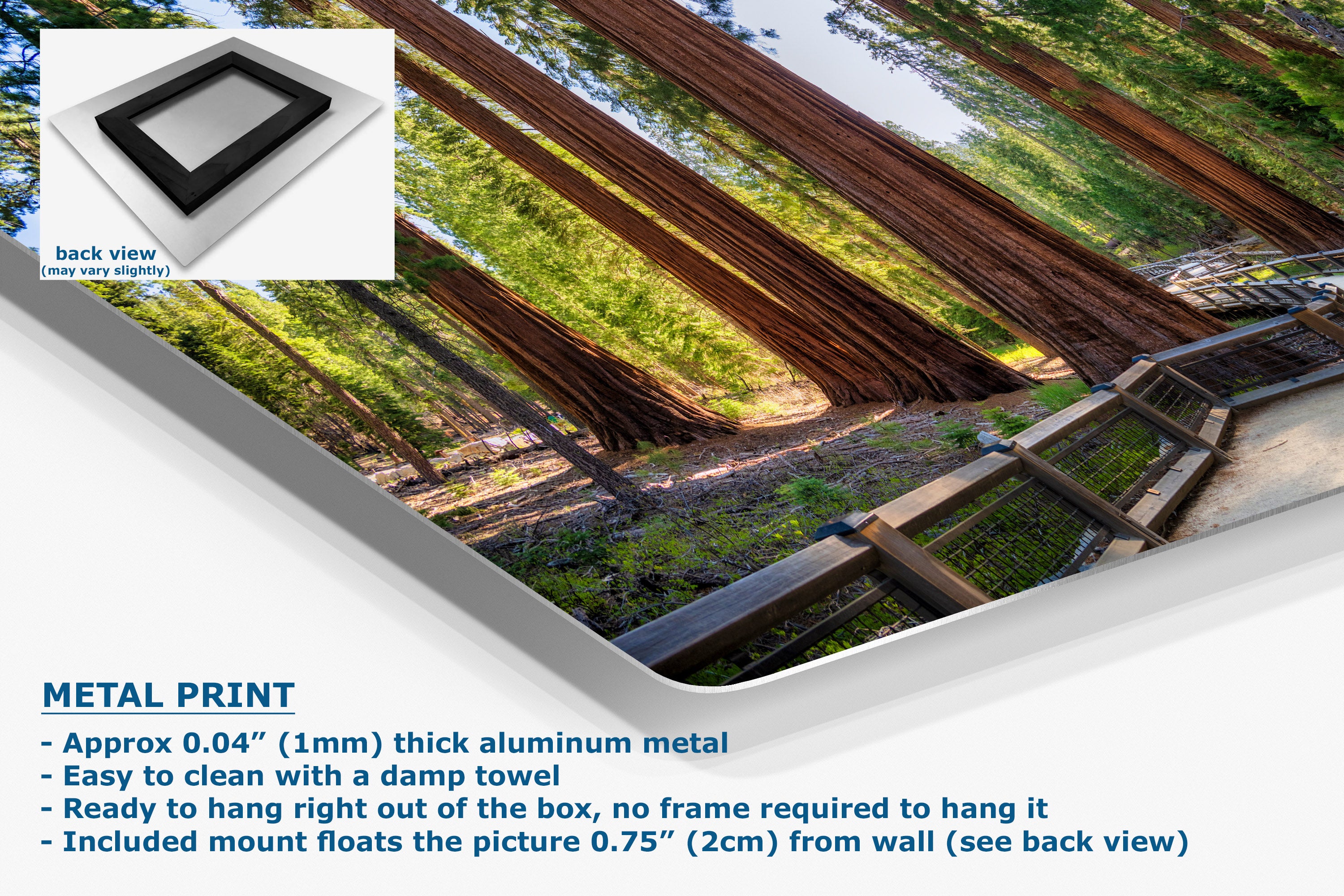A metal wall art print featuring a forest scene with giant redwood trees, shown at an angle with product details and text on a white background. An inset shows the back view of the frameless square print.