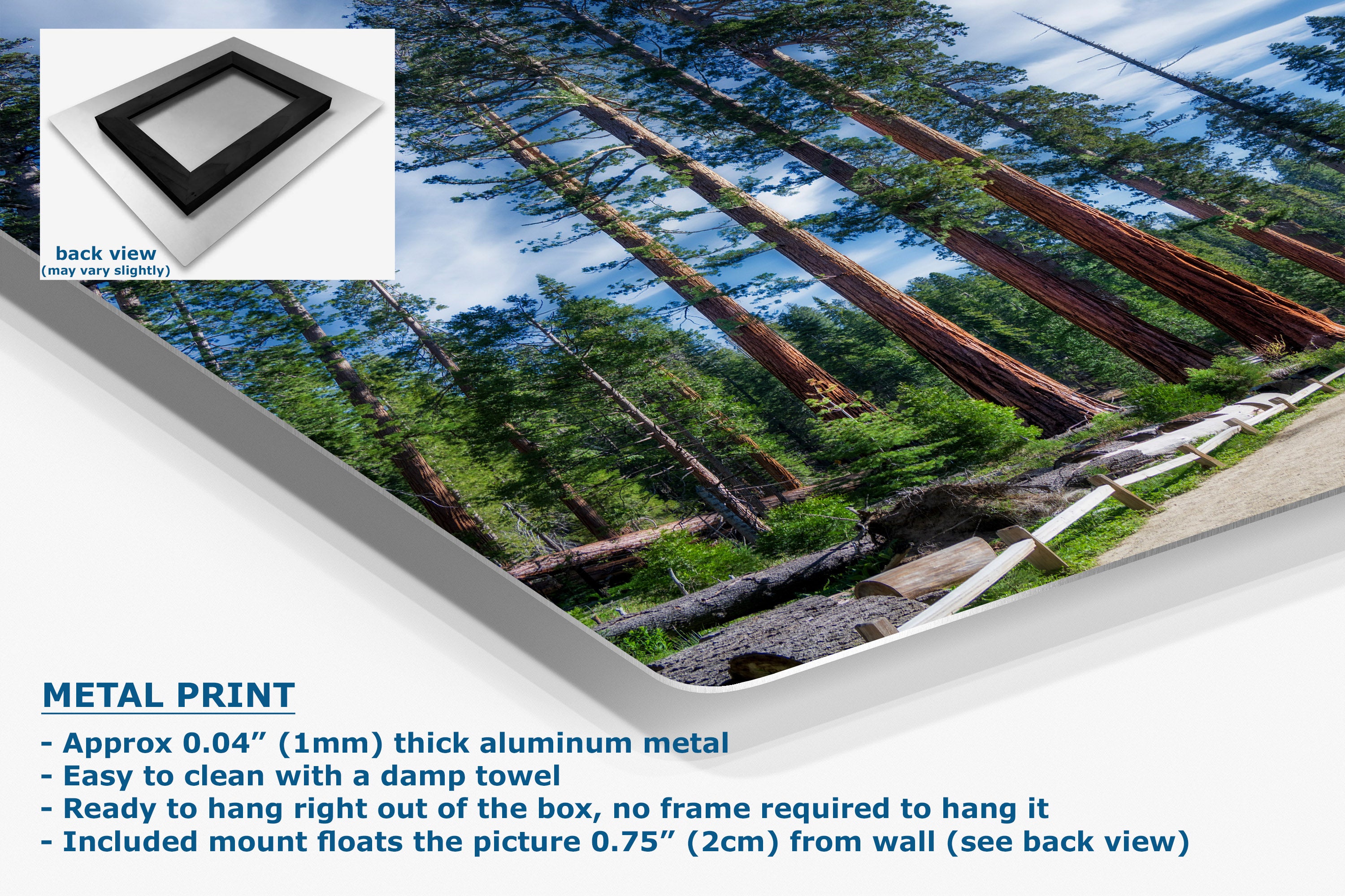 A metal wall art print showing a forest scene with tall trees and blue sky, presented on a white angled background with product text and a small back-view inset. The text highlights the aluminum finish and wall-hanging features.