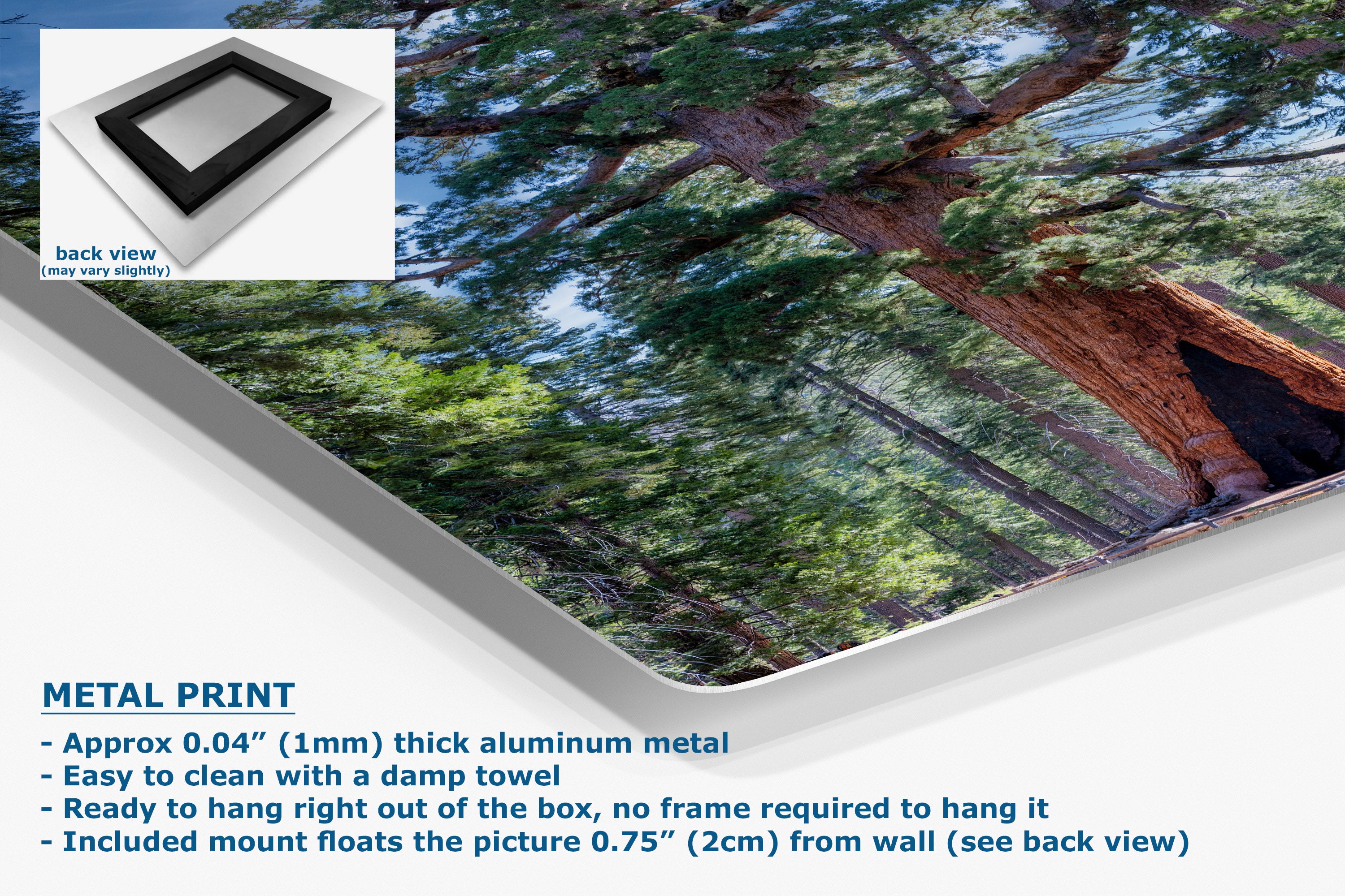 A metal print panel displaying a forest scene with tall trees and sunlight, shown at an angle with a small inset back view and product text on a white background.