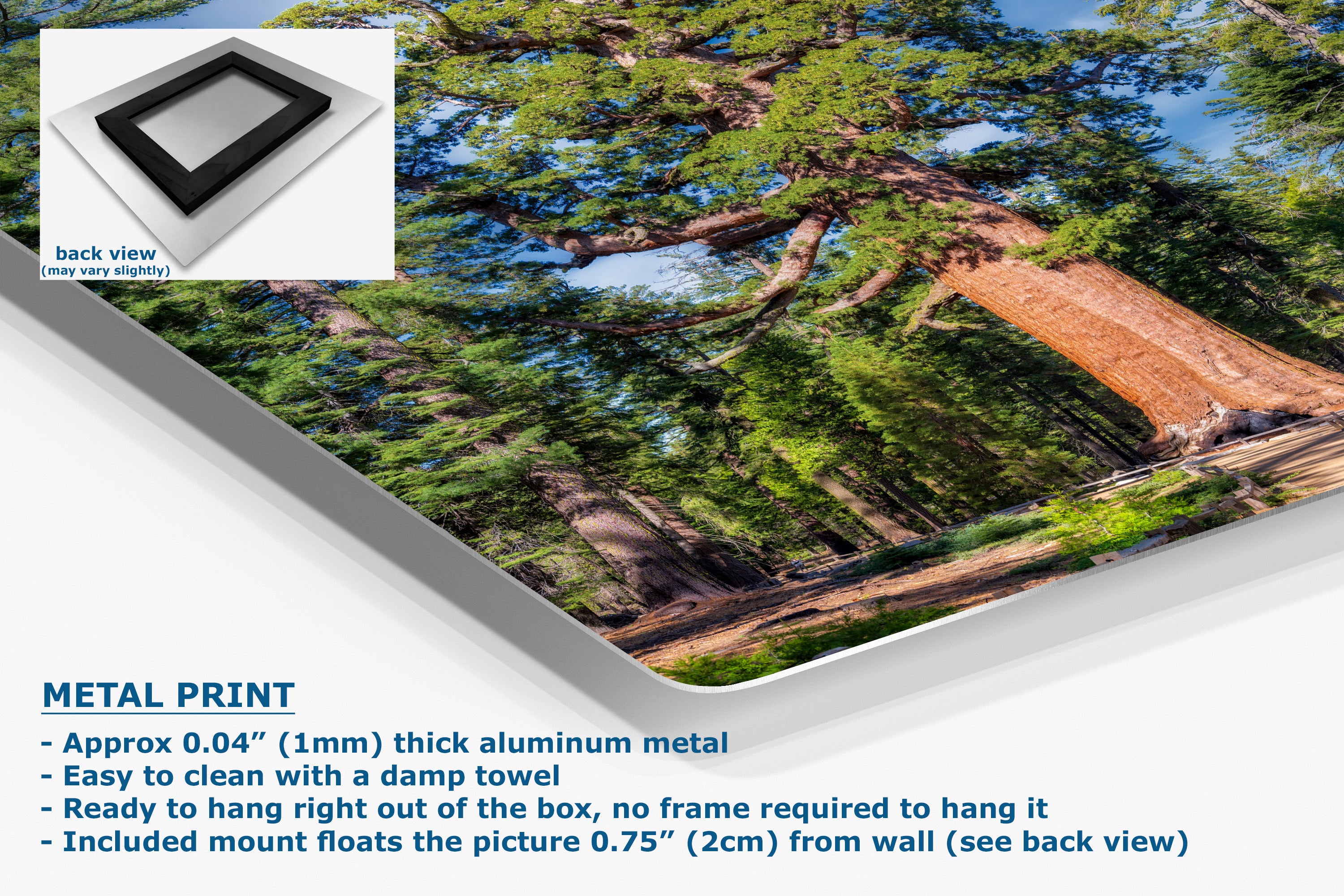 Metal wall art print featuring a forest scene with green trees, a large fallen log, and blue sky, shown at an angle with product details and text on a white background. Includes a small back-view inset and text describing the aluminum print and mounting.