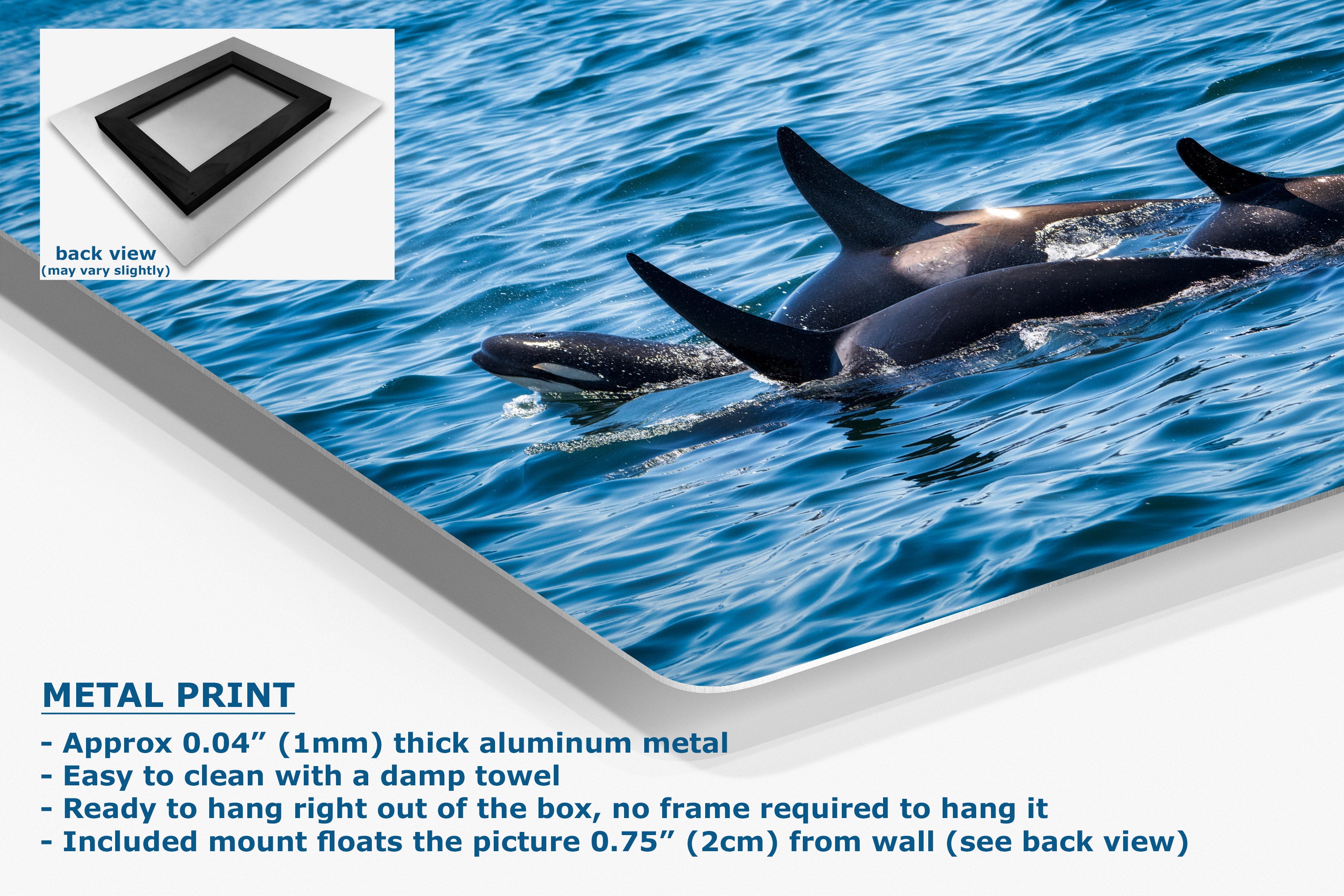 A corner view of a metal wall art print showing a blue ocean scene with dolphins, presented at an angle with a white border and product details text. An inset shows the back view of the frame mount.