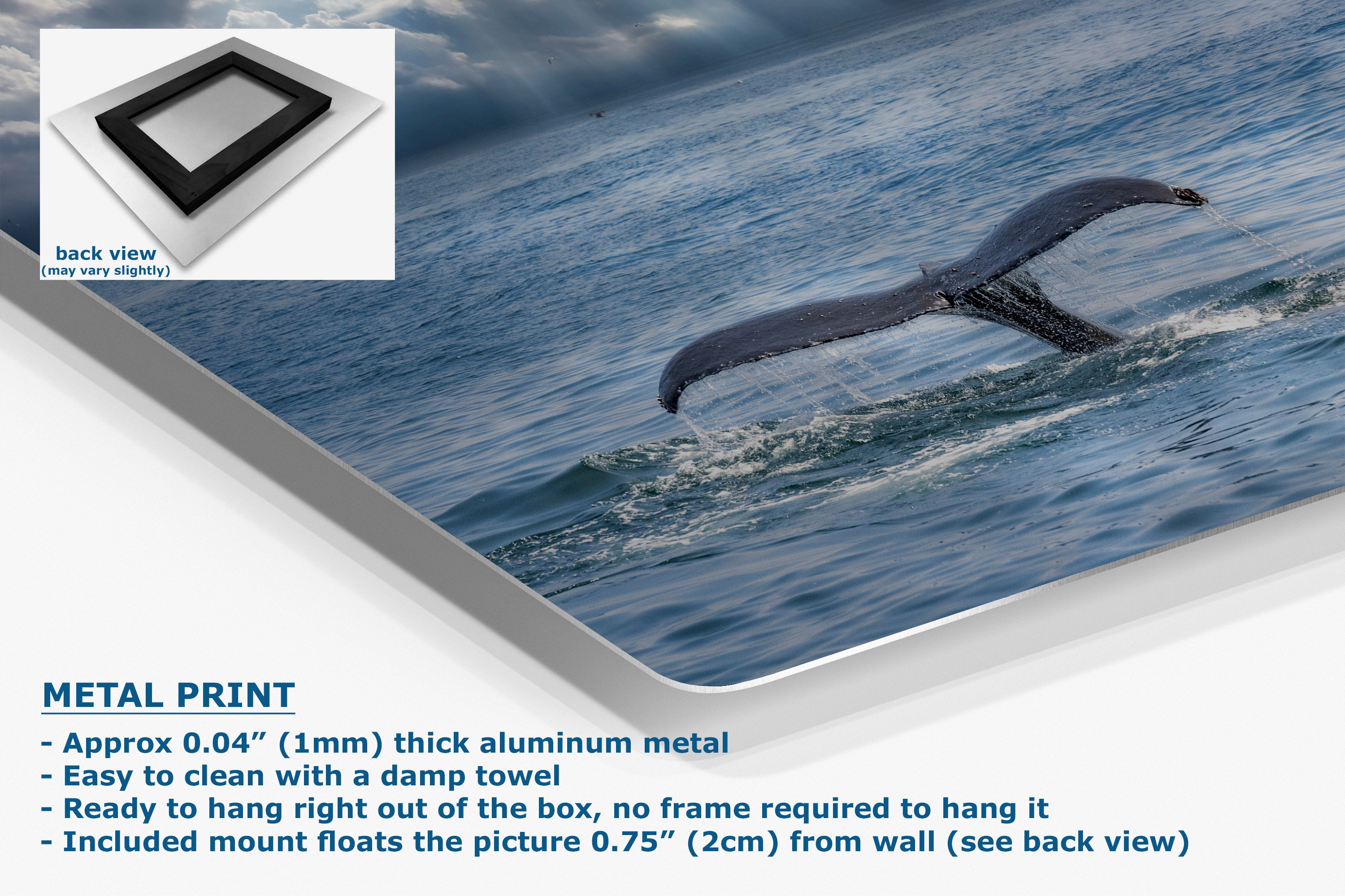 A metal print showing a humpback whale tail breaking through ocean water, presented at an angle with product details and text on a white background. Includes a small back-view inset and text describing the aluminum finish and mounting.