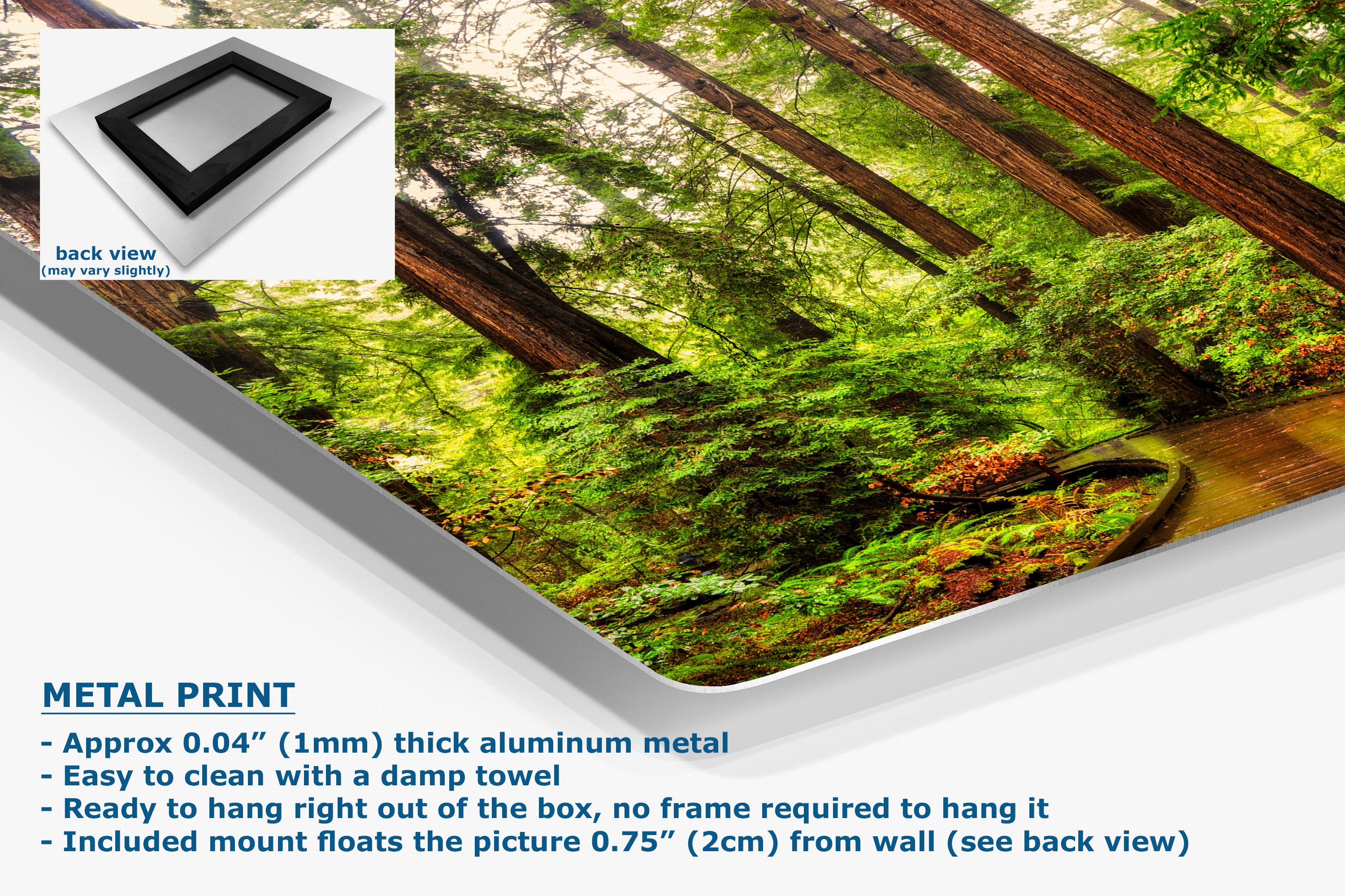 A metal wall art print showing a forest scene with tall trees and green foliage, presented at an angle with product text and a small back-view inset on a white background.