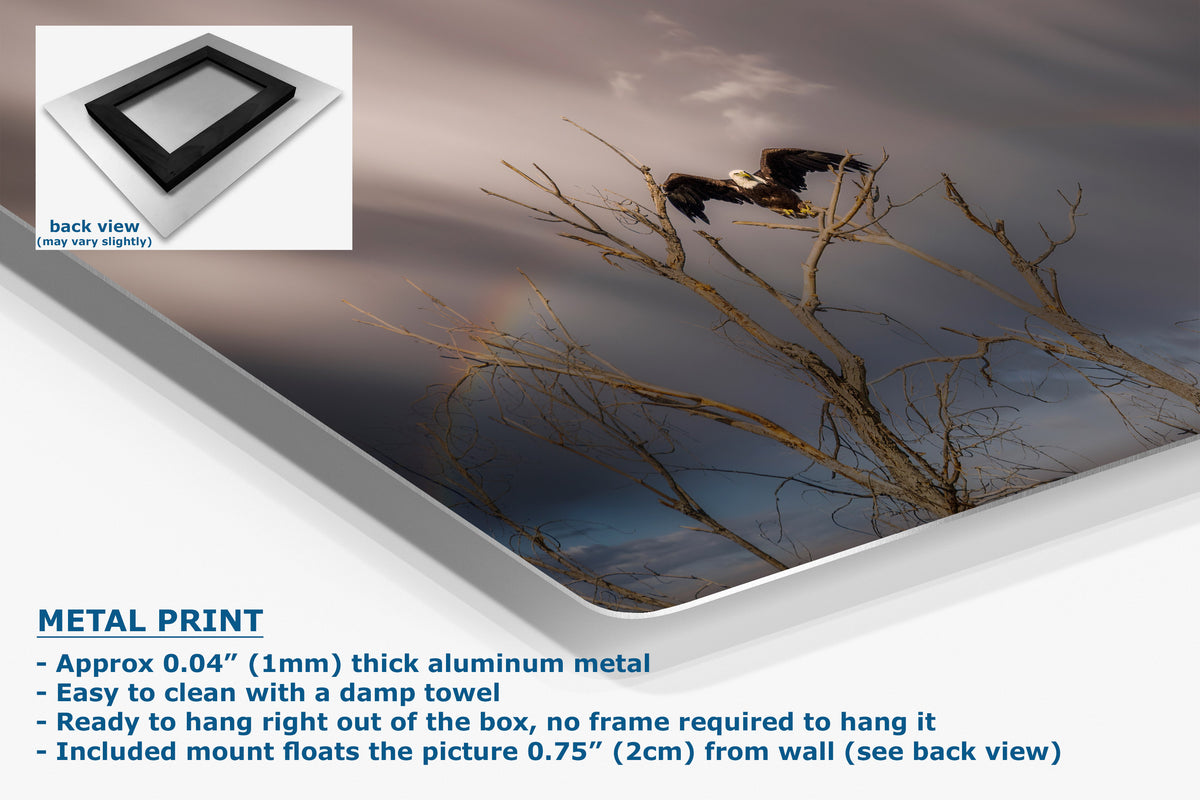 Corner view of an aluminum metal wall art print showing a dramatic sky with a bird perched on bare tree branches, presented at an angle with a small inset back view and product text describing the aluminum finish and mounting details.