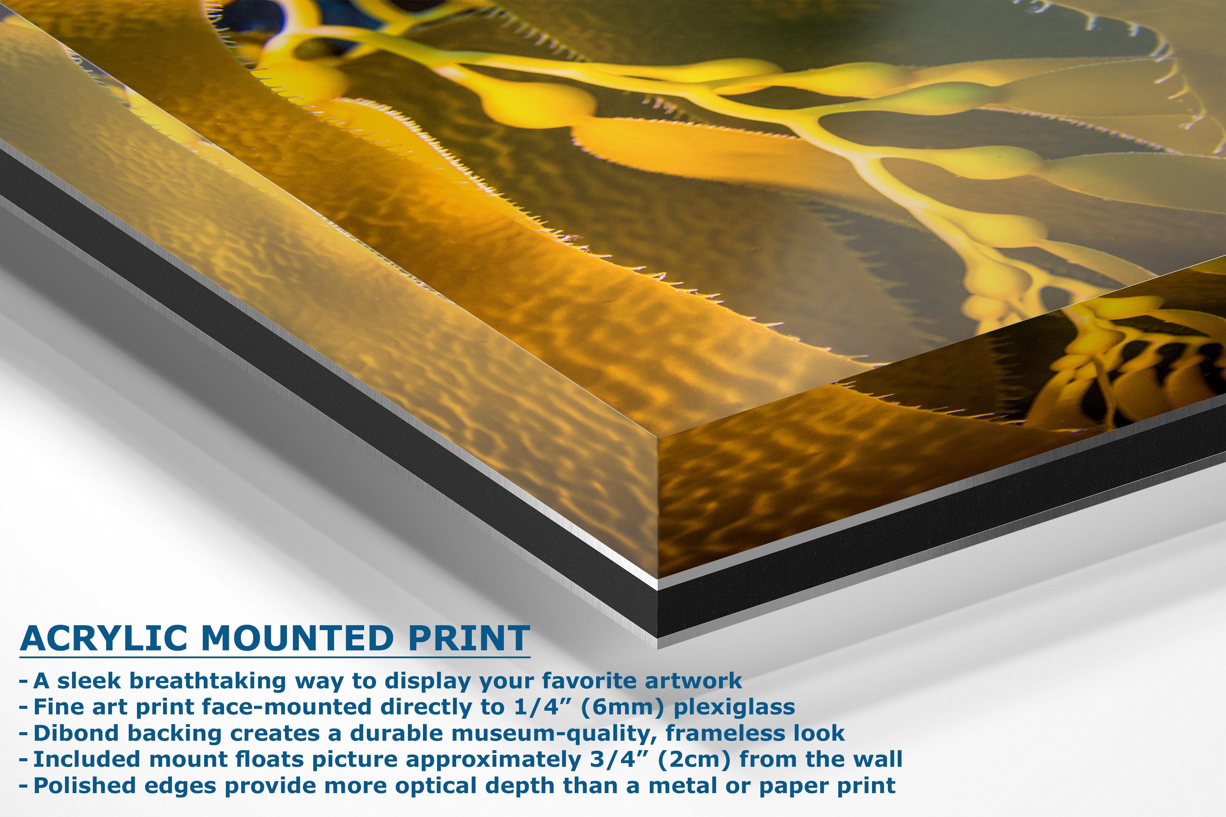 Acrylic mounted art print shown at an angle with descriptive text on a white background. The print features a yellow and black abstract pattern, and the text highlights features like frameless mounting and durable backing.