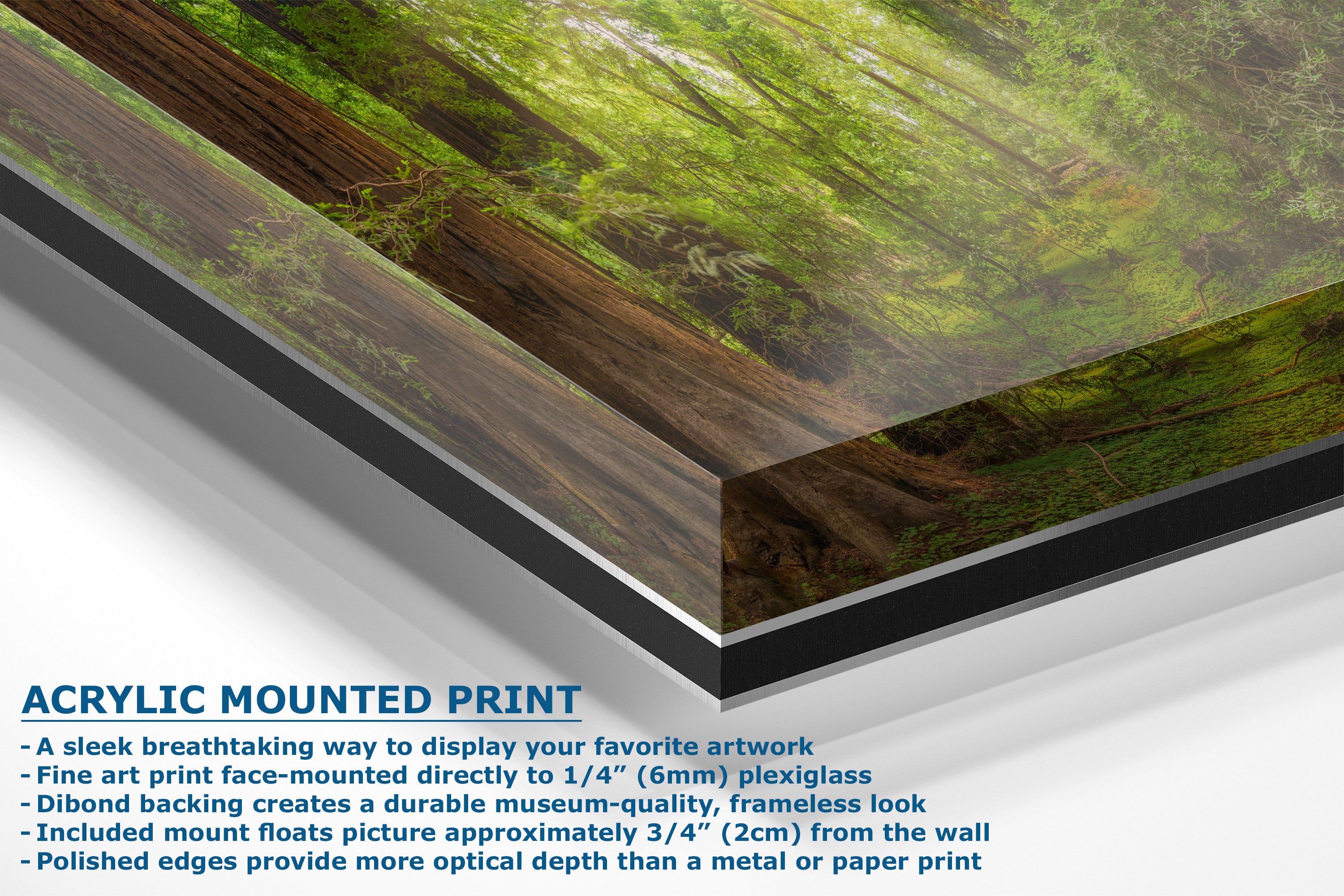 Acrylic mounted art print showing a forest scene with green foliage and brown tree trunks, presented at an angle with descriptive text about mounting and frame options.