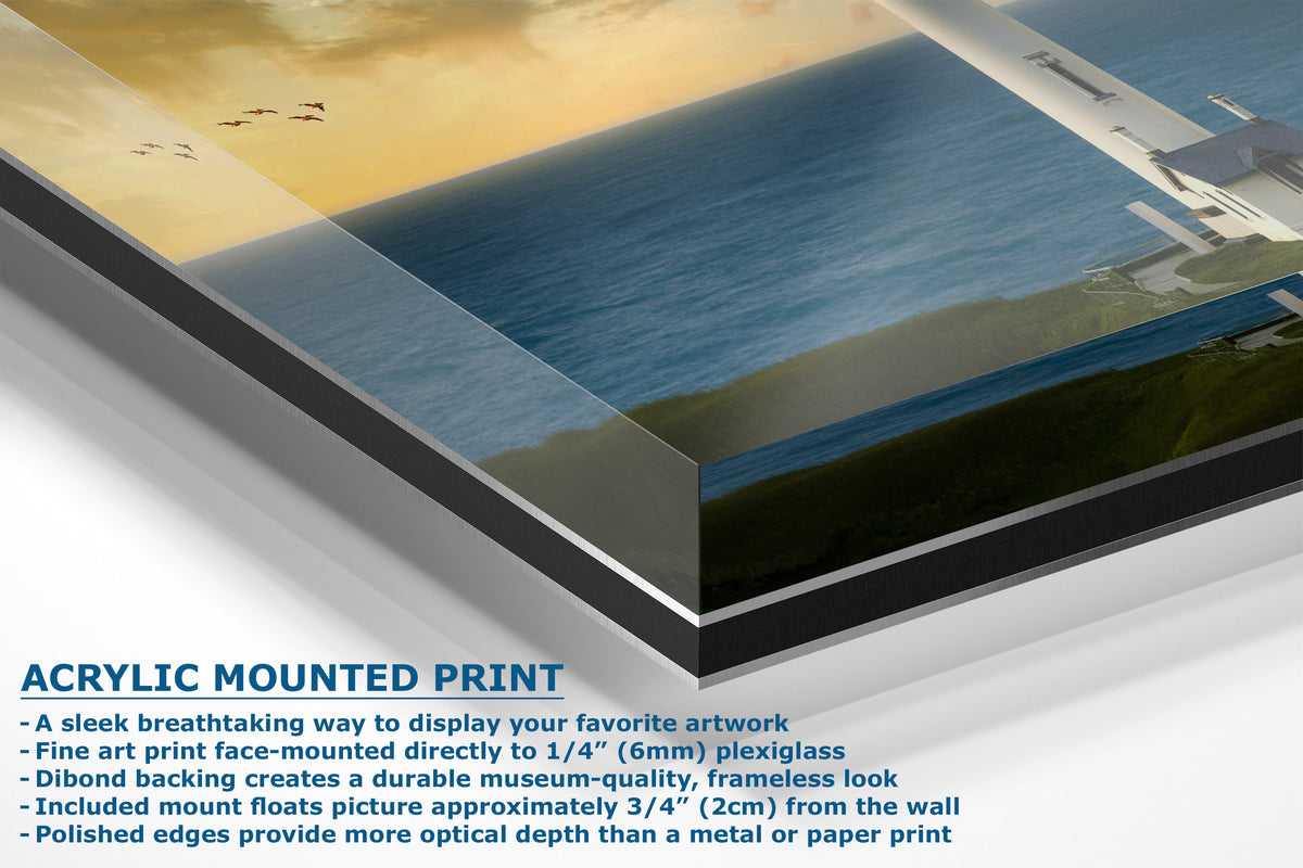 Acrylic mounted art print panel shown at an angle with a beach and ocean artwork design, plus descriptive text about mounting and frame options.